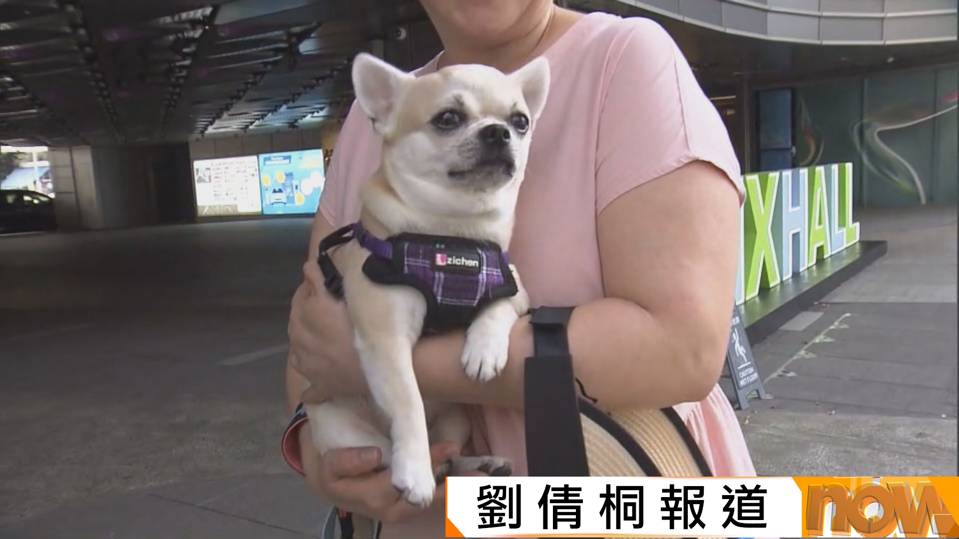 元朗狗咬狗事件翌日　YOHO狗主提高警覺