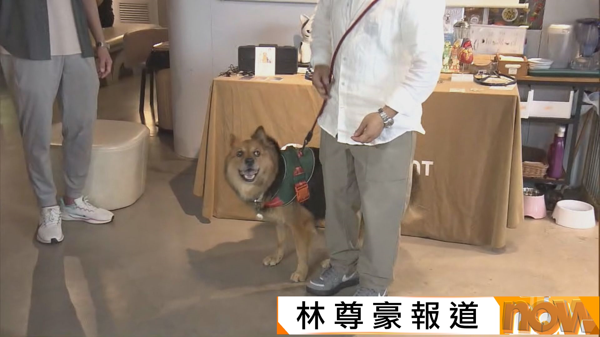 訓犬師提醒若愛犬遇襲　狗主強行拉開或弄巧反拙
