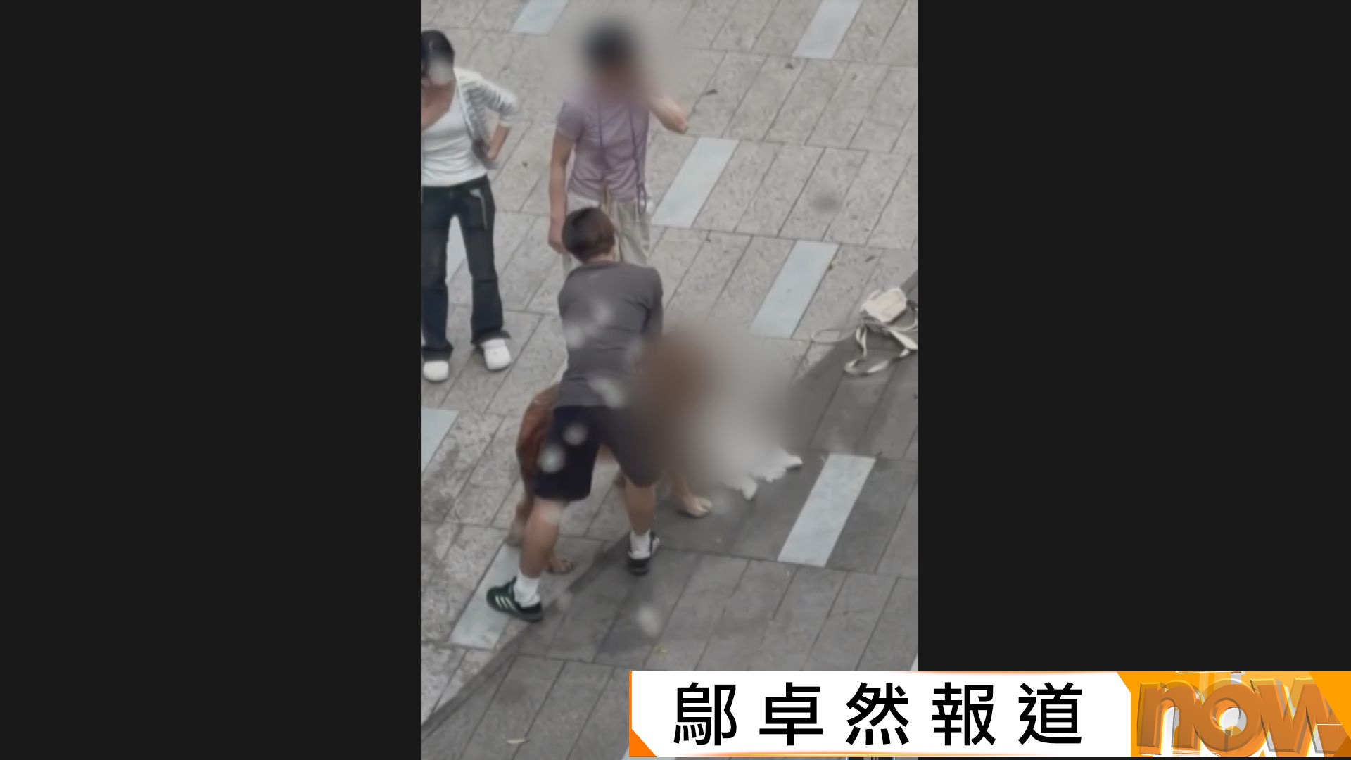 元朗大狗咬死兩狗　漁護署拘涉事狗主指早已警告要用狗繩牽引