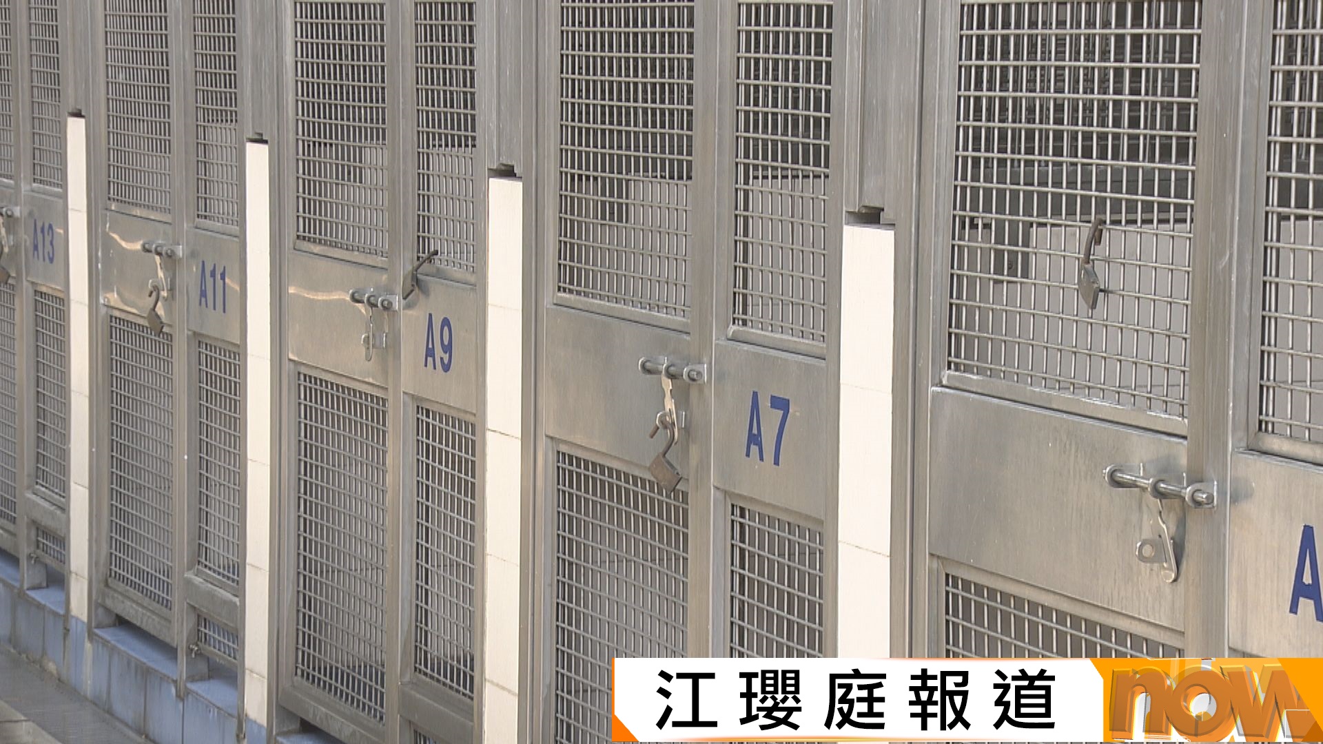 元朗大狗咬死兩小狗｜漁護署控告其主人周四提堂
