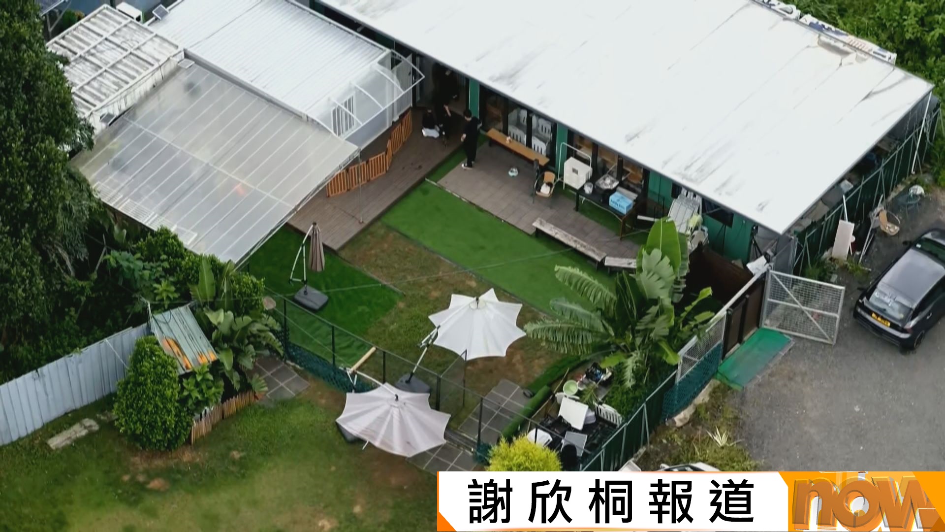 打鼓嶺狗咬死人｜寵物酒店女持牌人遭唐狗襲擊後亡　村民認為屬個別事件
