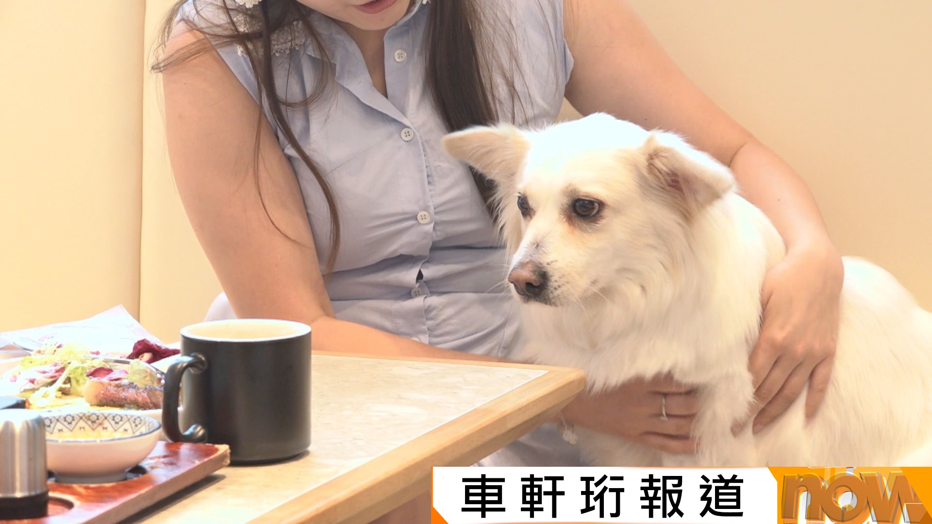 打鼓嶺狗咬死人｜有食客指狗咬狗及狗咬人是個別事件　不擔心光顧寵物餐廳