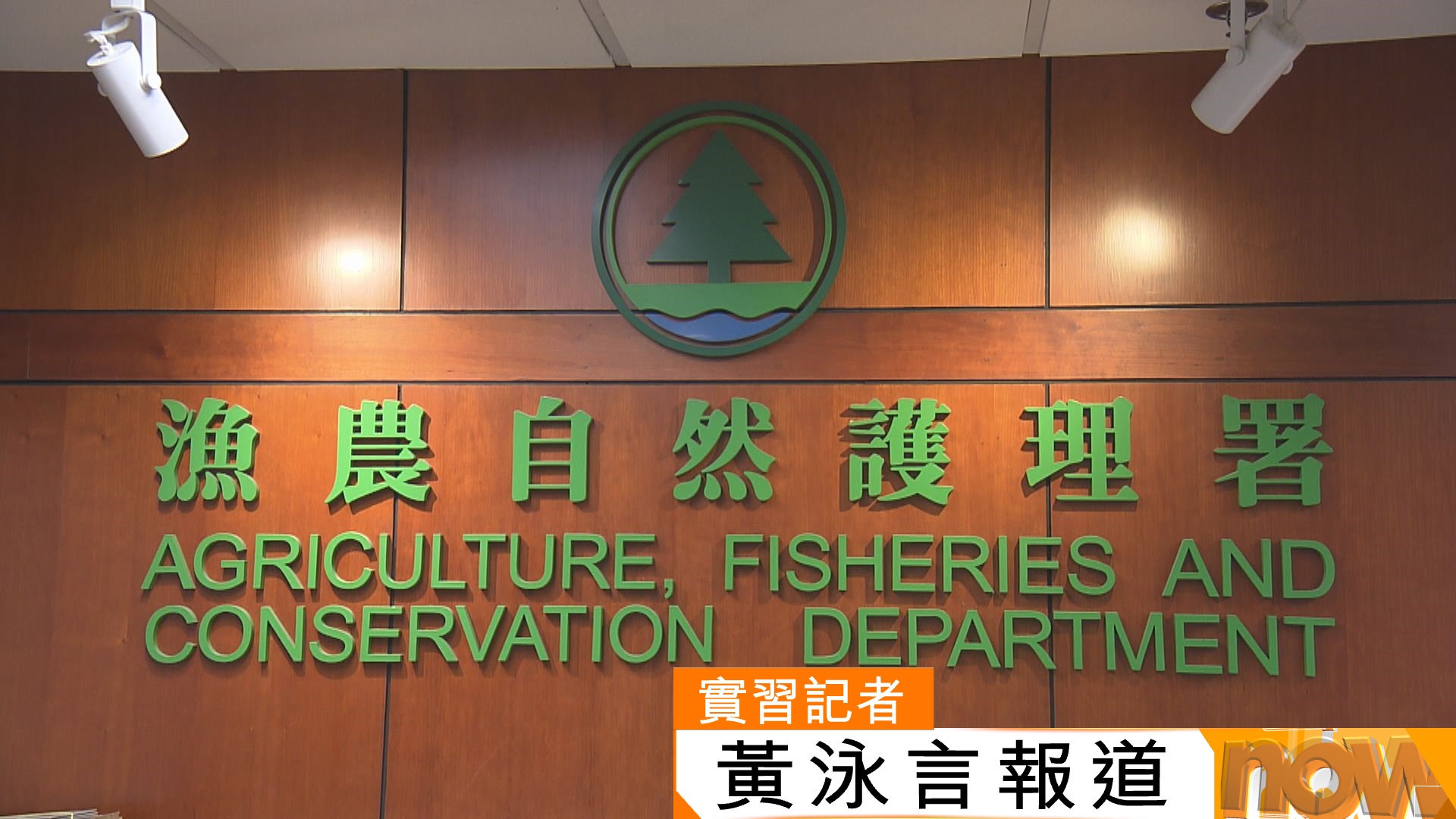 打鼓嶺狗咬死人｜漁護署：涉事狗隻約一歲混種格鬥犬　提醒畜養人切勿心存僥倖