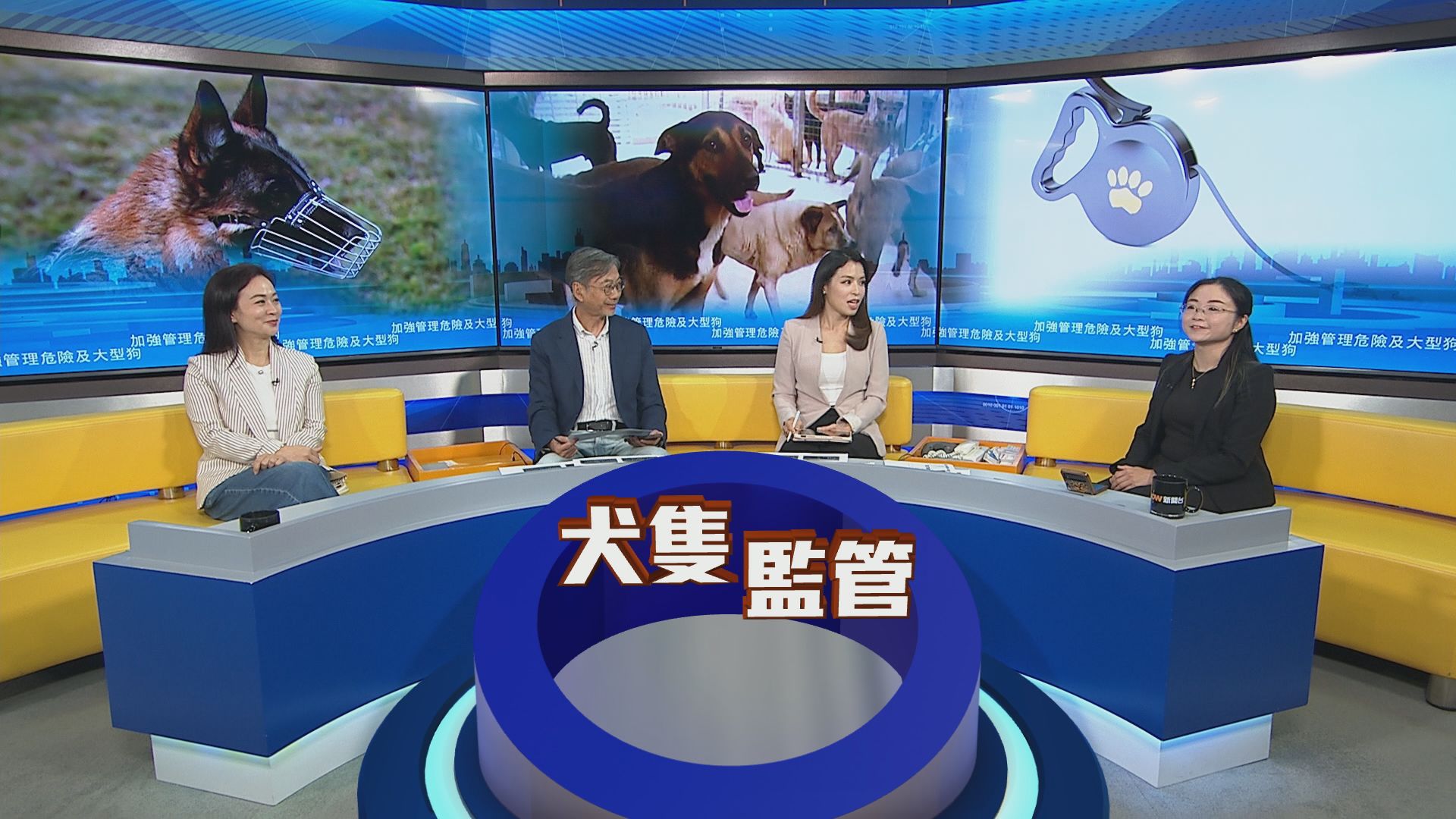 時事全方位｜加強管理危險及大型狗(一)