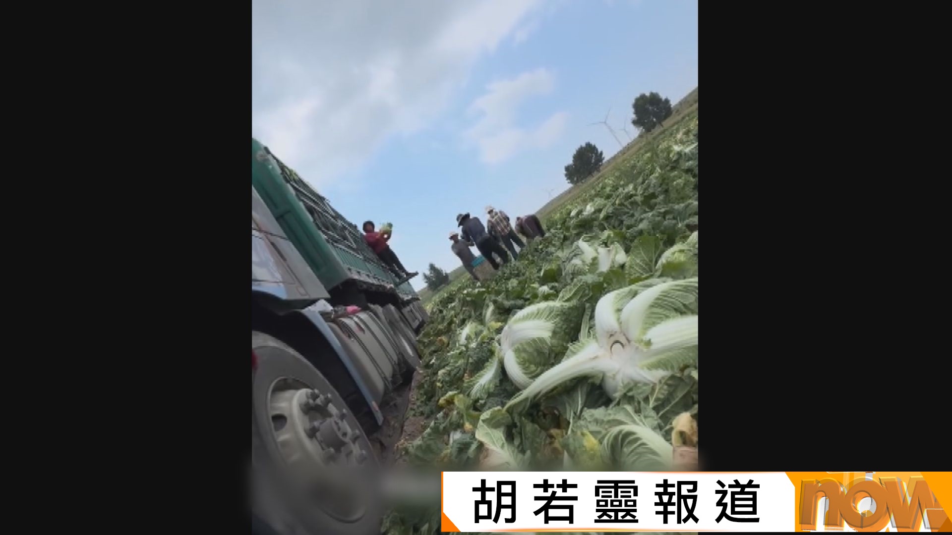 河北紹菜被揭紹菜浸甲醛　多地市場停止輸入該區紹菜　檢測未驗出有害物質