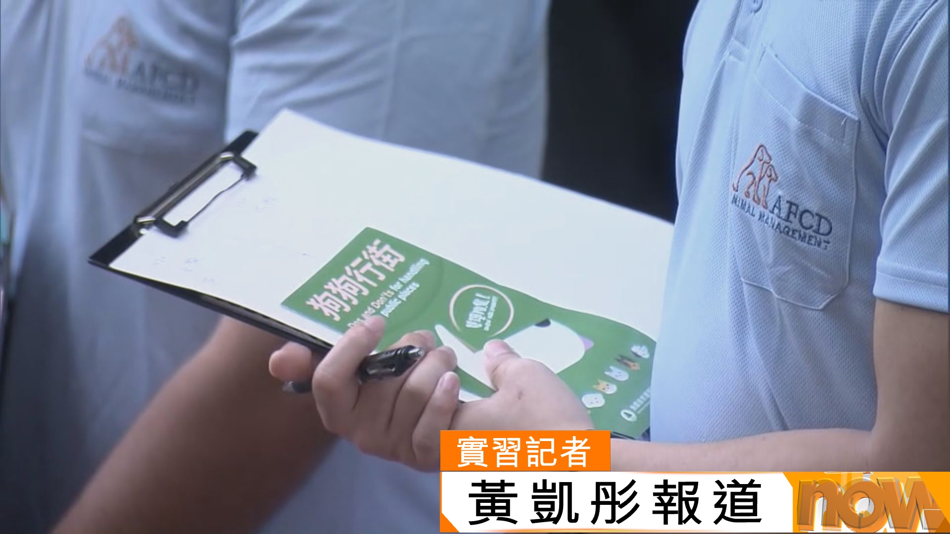 三狗隻畜養人涉未有以狗帶牽引大型狗隻　漁護署擬檢控