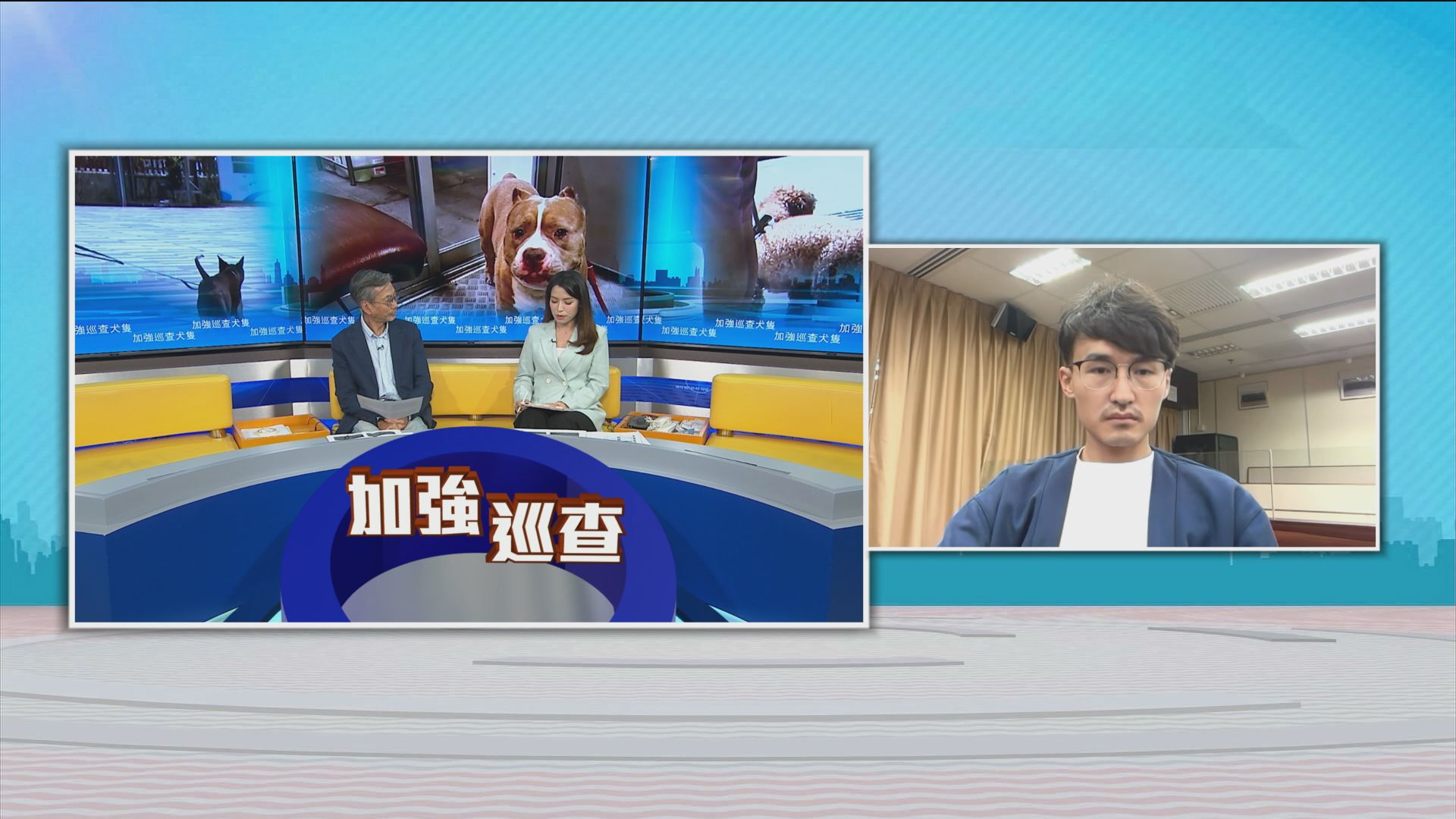 時事全方位｜加強巡查犬隻(一)