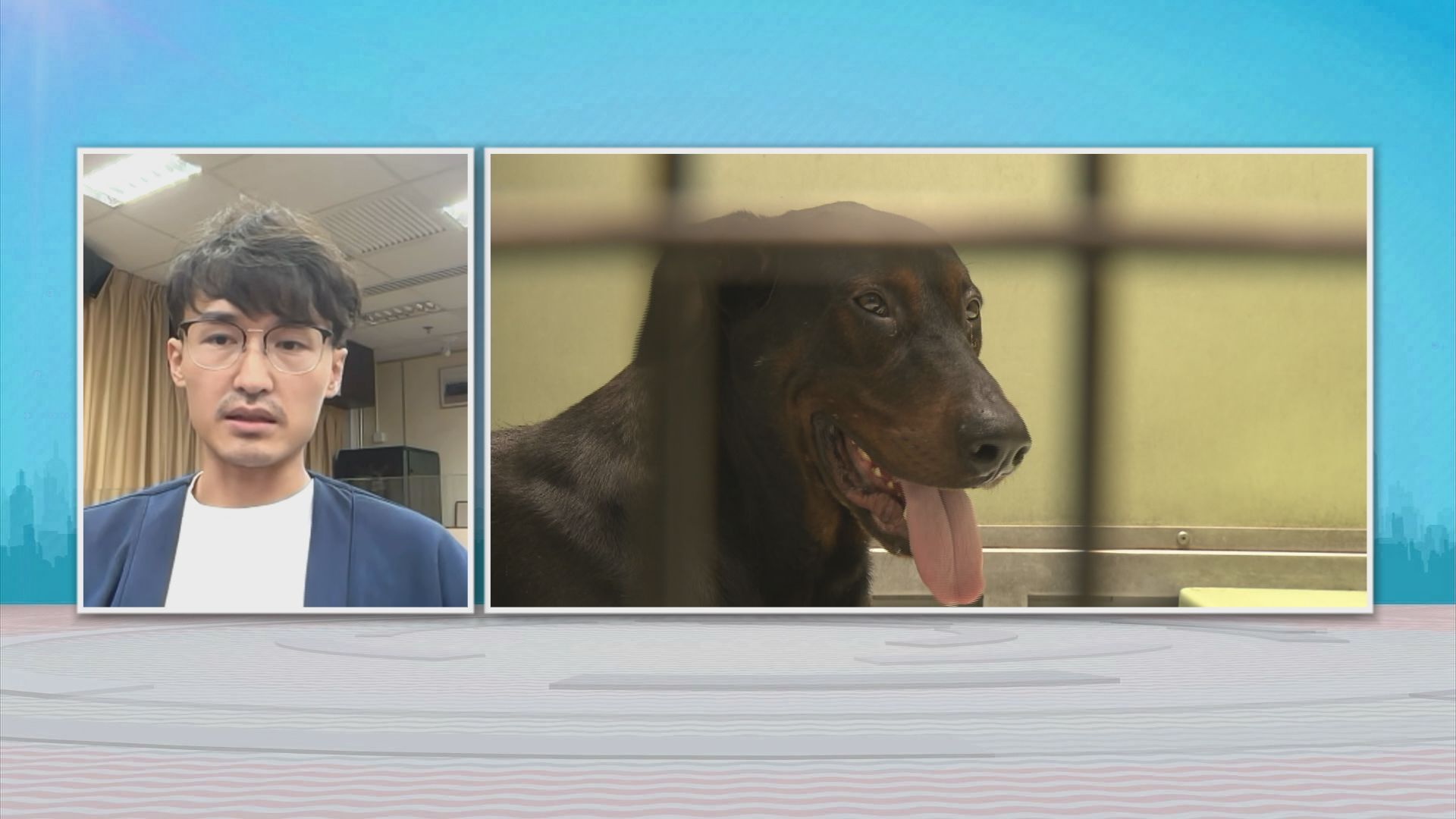 時事全方位｜加強巡查犬隻(二)