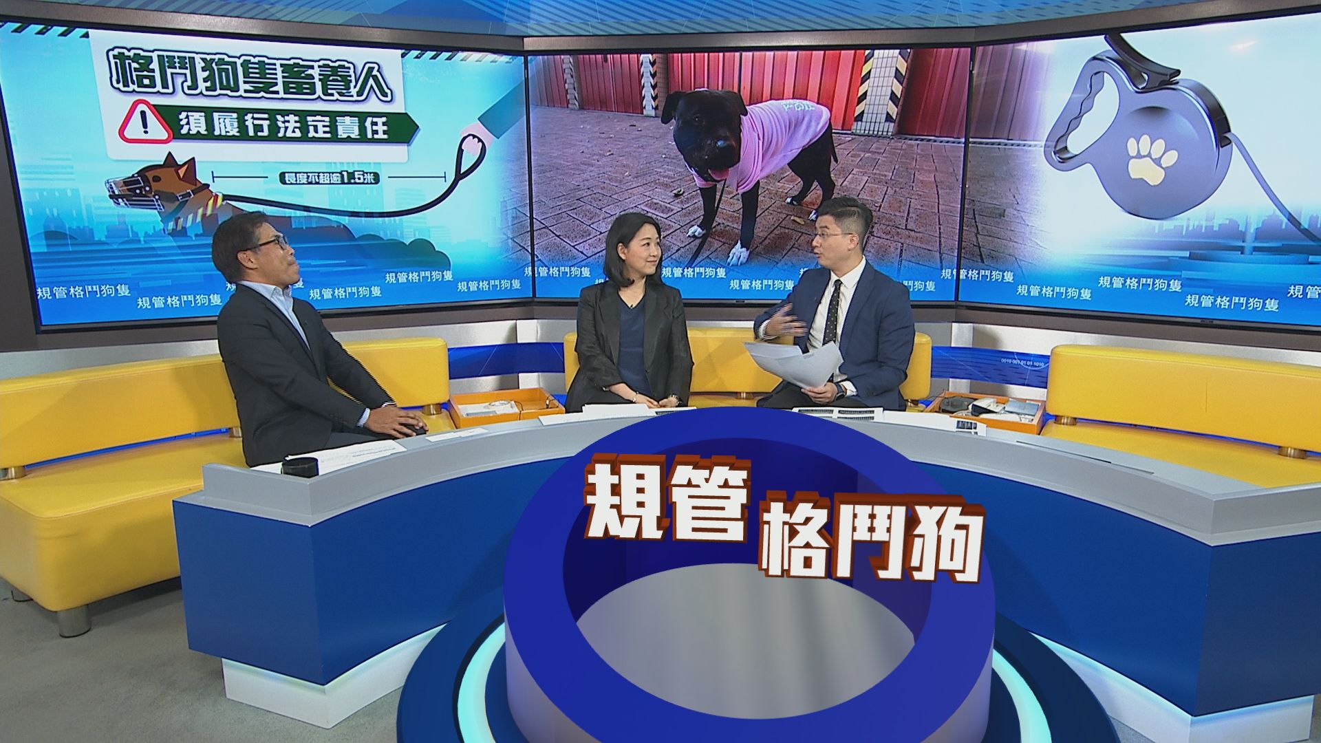 時事全方位｜規管格鬥狗隻(一)
