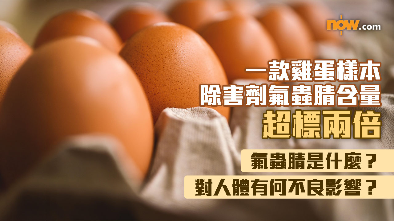 食安中心揭有雞蛋樣本除害劑含量超標兩倍　認識氟蟲腈　攝取過量對人體有何影響？