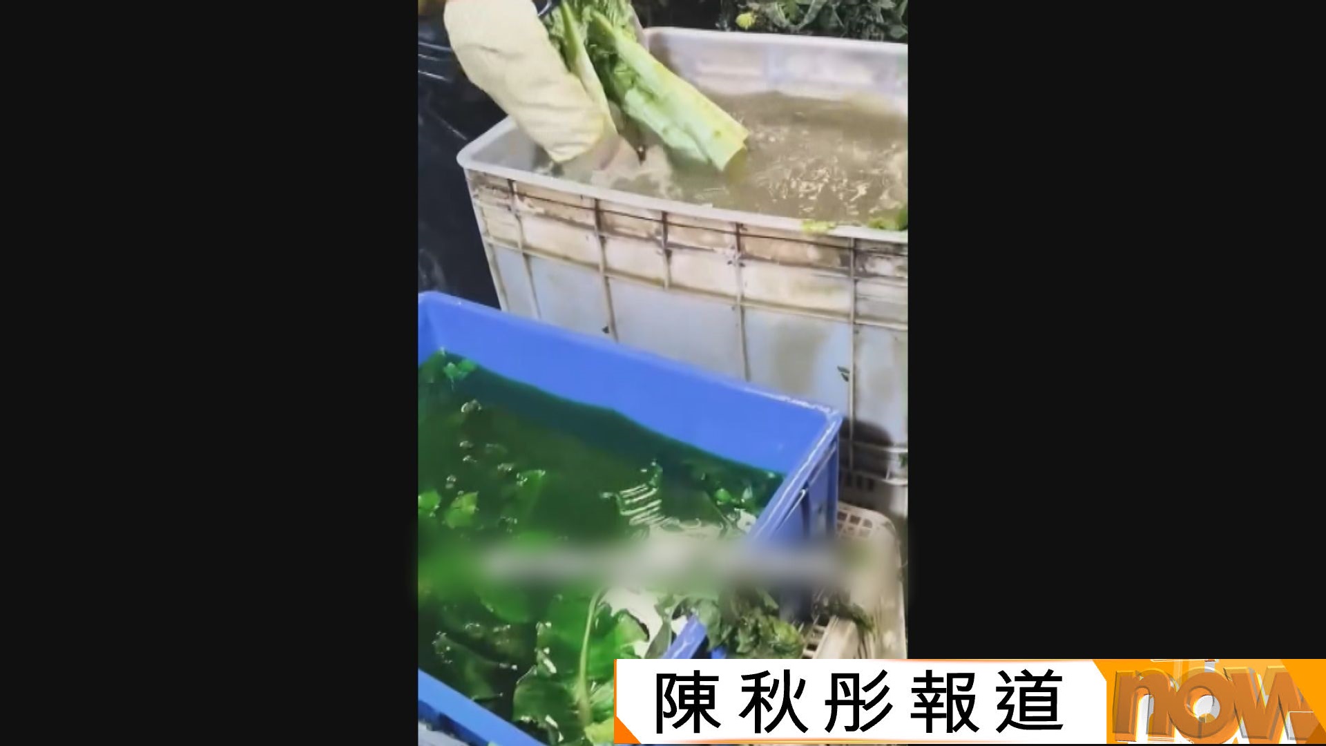甘肅蘭州菜庫用不明液體浸泡疑為萵荀染色　當局查處6間企業