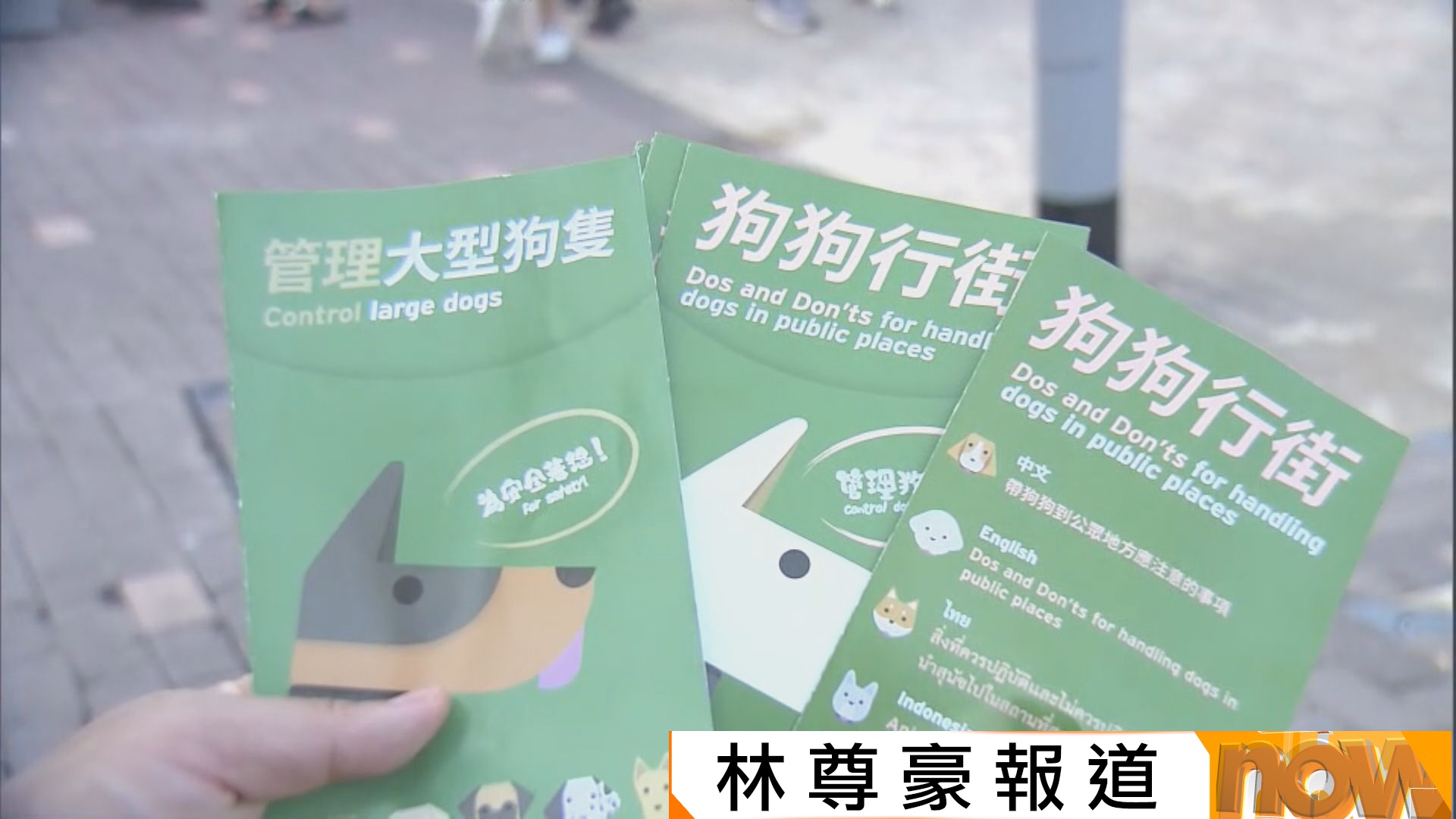 漁護署發現3宗未有以狗帶牽引大狗　擬檢控