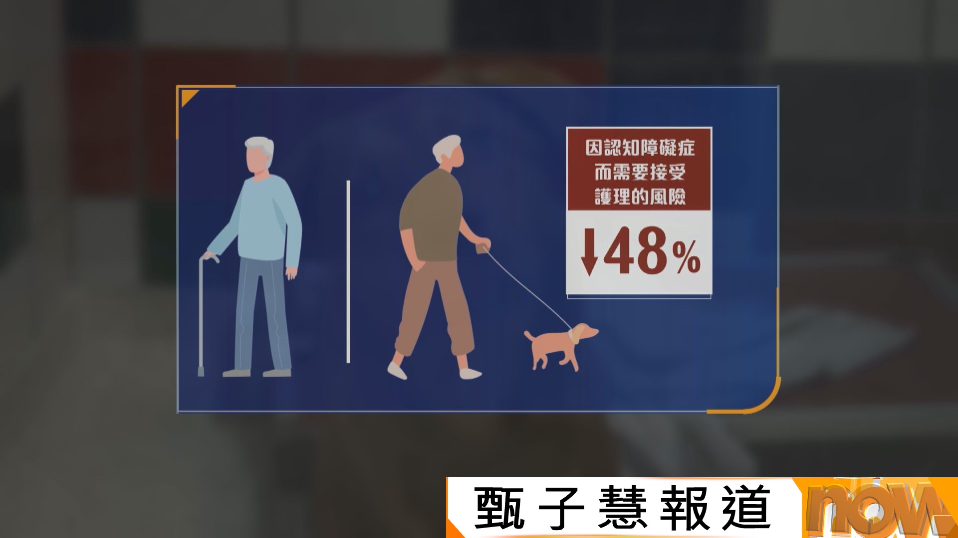 日本研究發現養狗可減低長者患認知障礙症風險