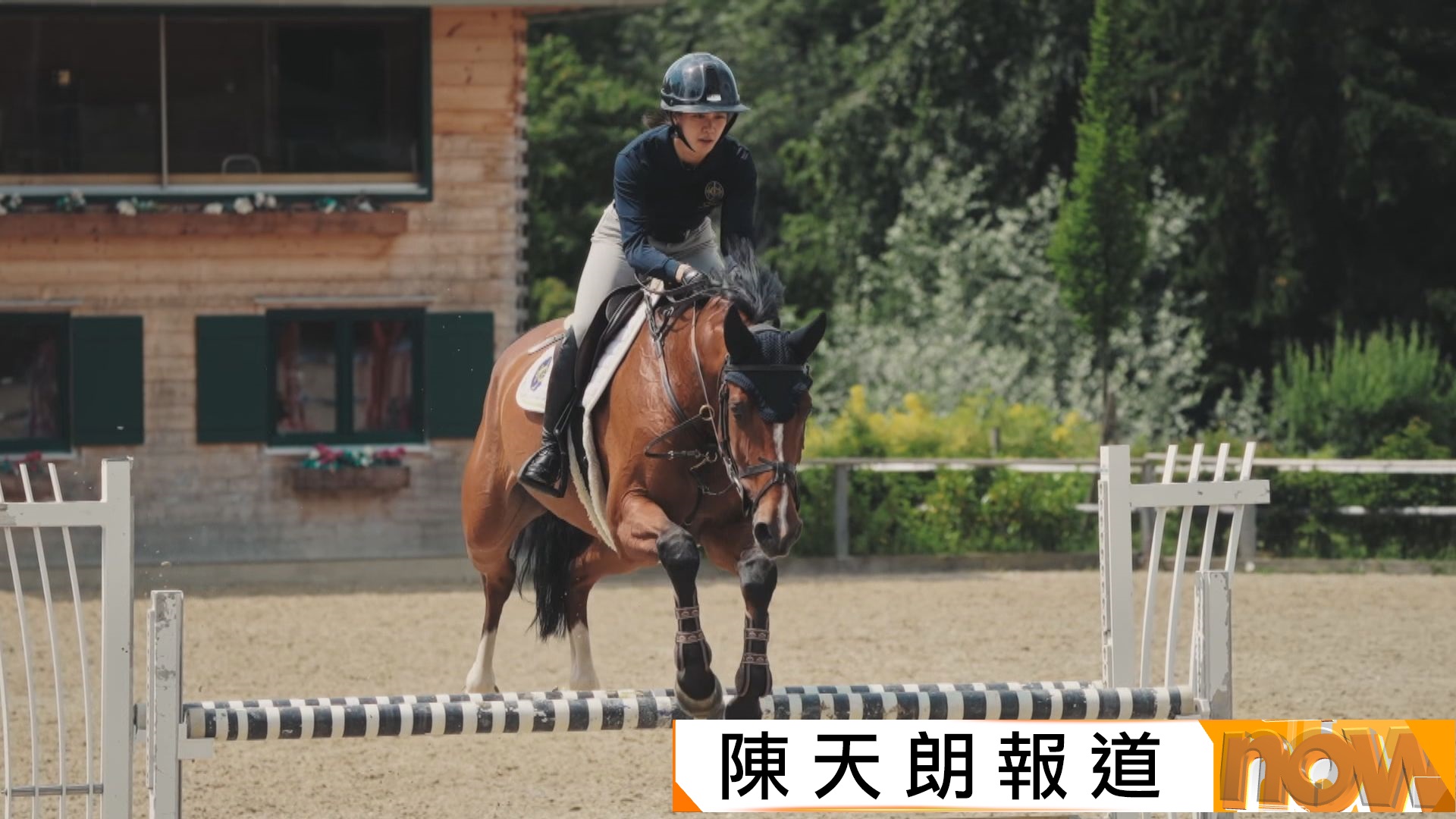 名古屋亞運｜五朝元老賴楨敏夥年輕雌馬出擊　力爭再奪場地障礙賽獎牌