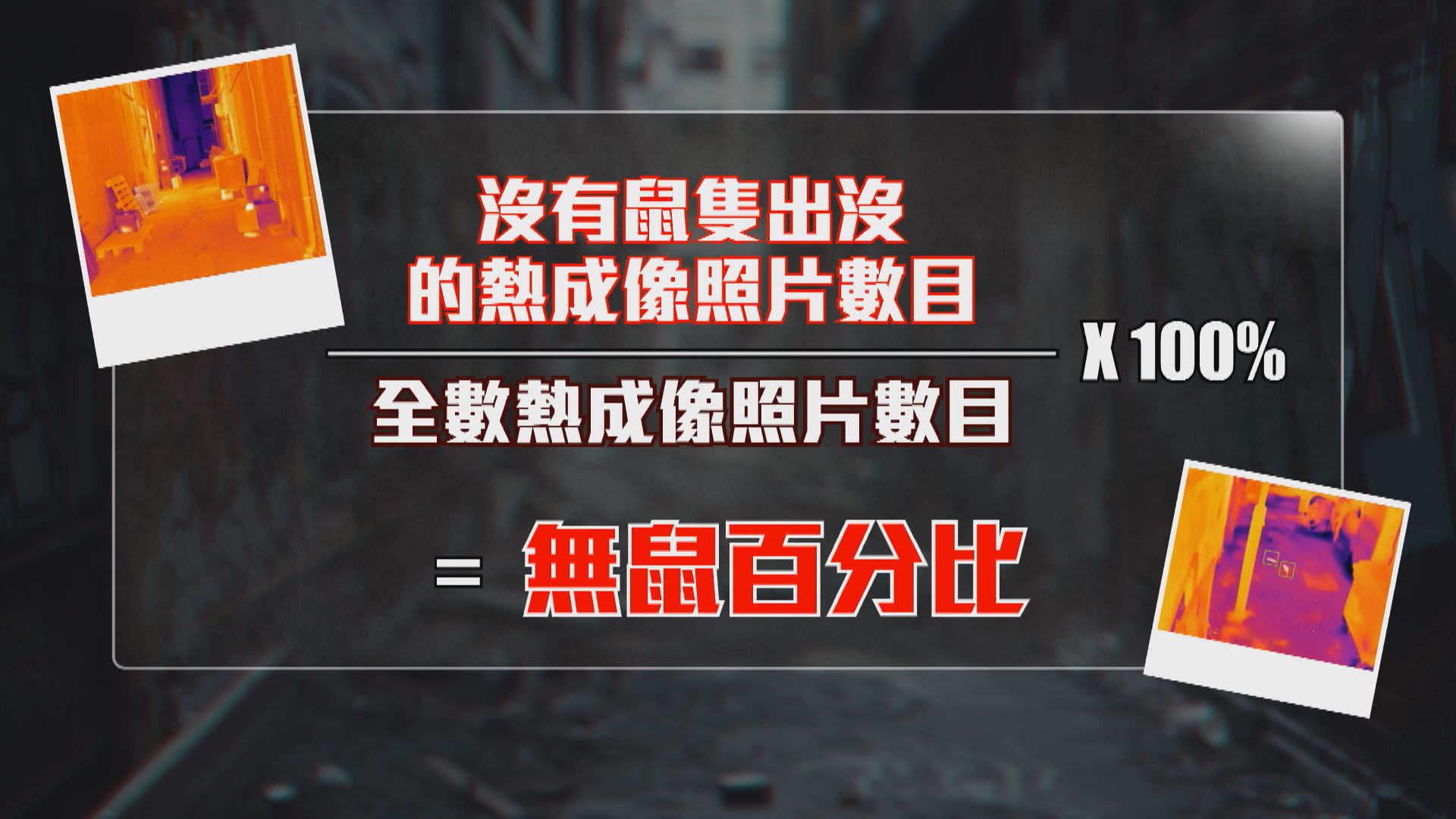 經緯線本周提要｜新方法統計老鼠出沒頻率　有議員指未能反映實際情況