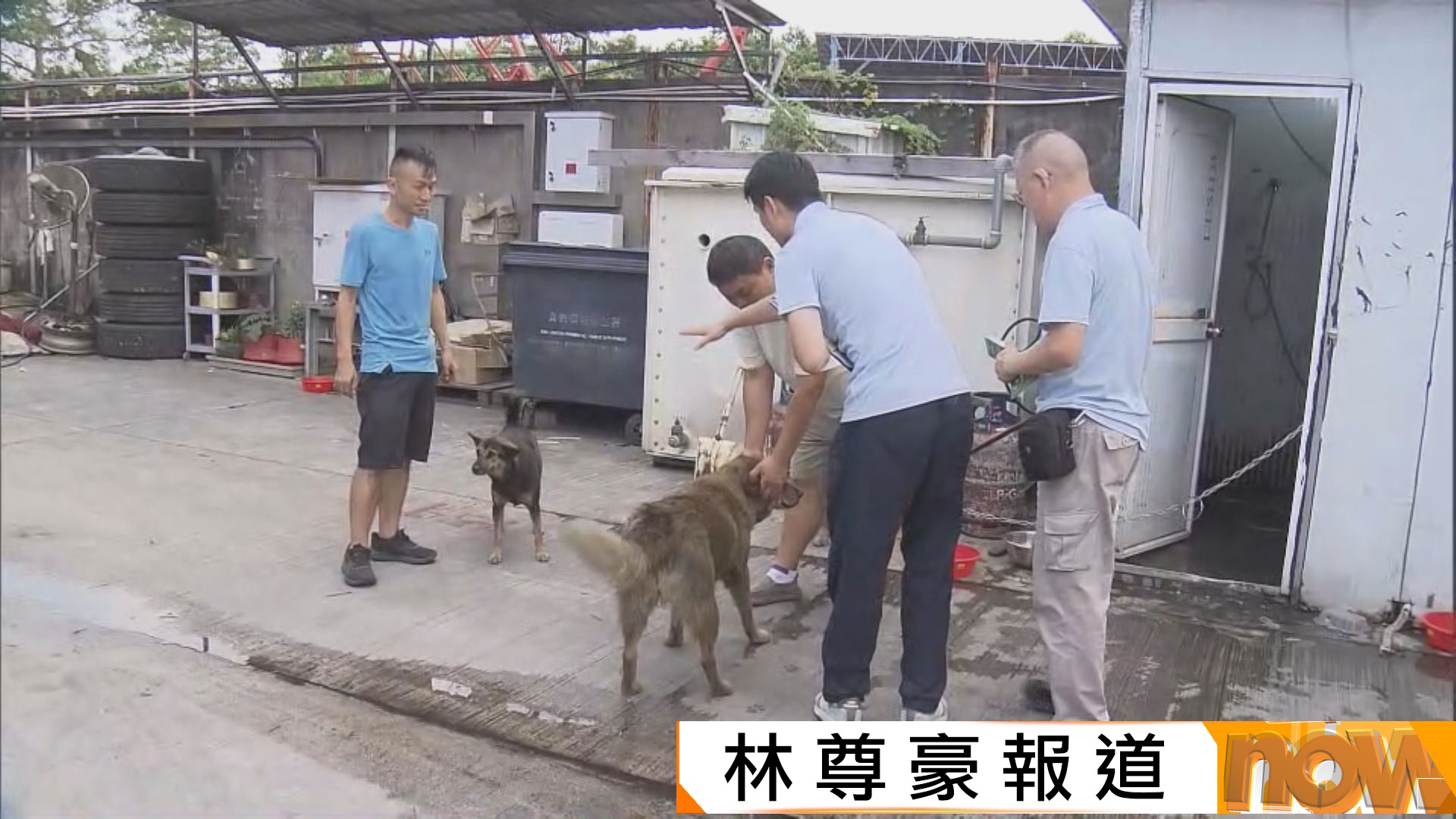 元朗疑狗咬死人｜警方及漁護署再到壆圍南路一帶捉捕狗隻