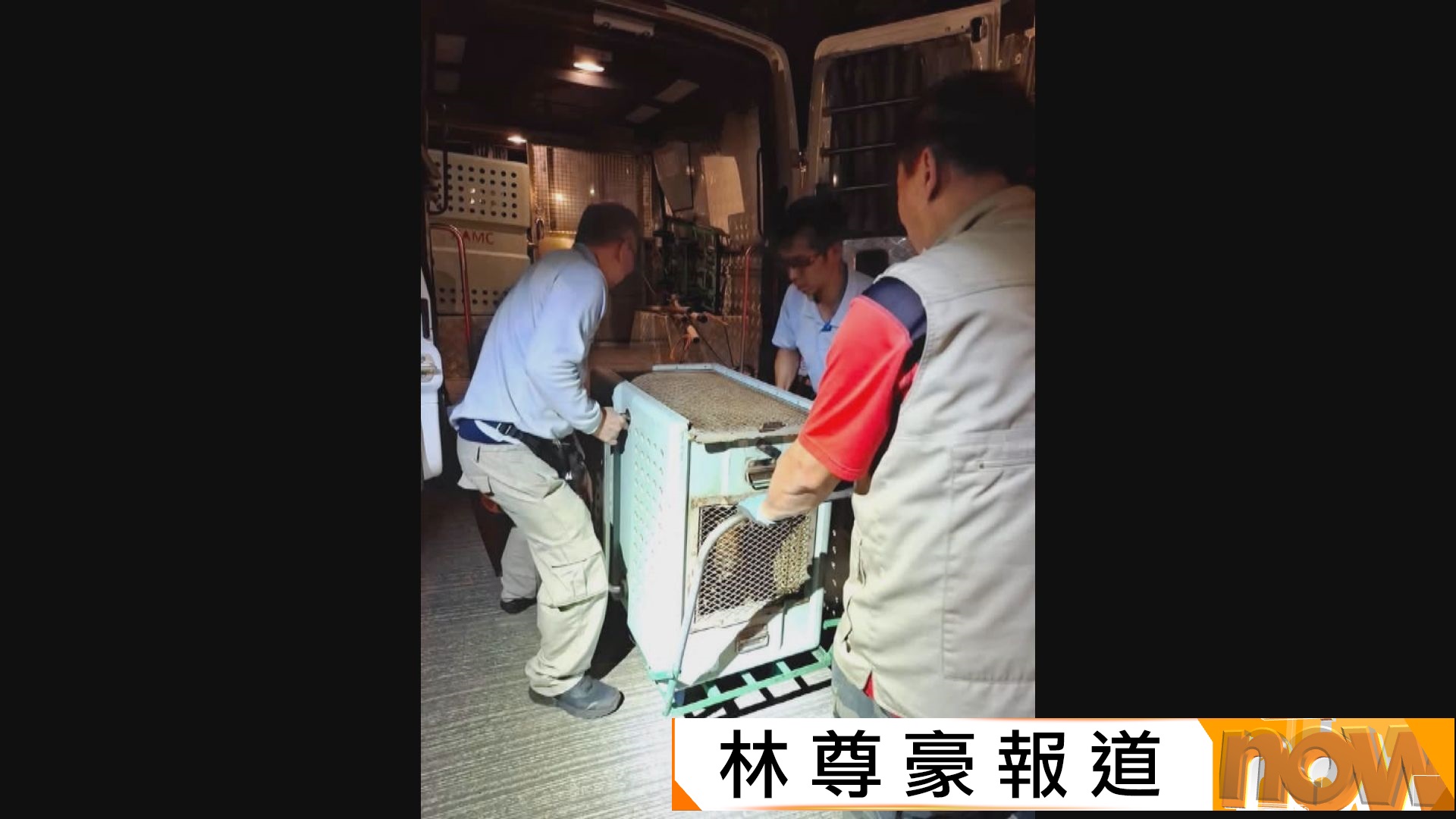 元朗疑狗咬死人｜漁護署聯同警方在元朗壆圍南路一帶捉到兩隻無人看管唐狗