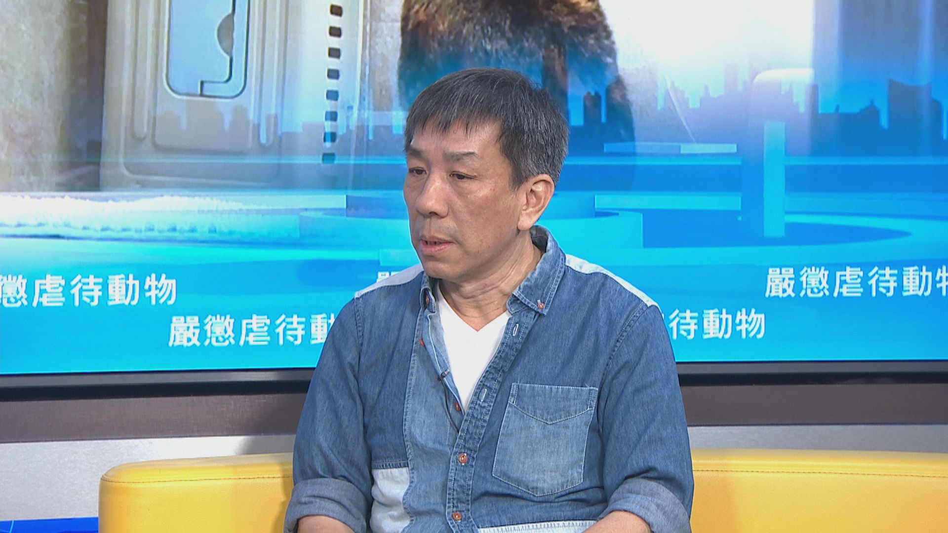 元朗被捕狗隻登記人為「毛守救援」創辦人 漁護署告兩罪 | Now 新聞