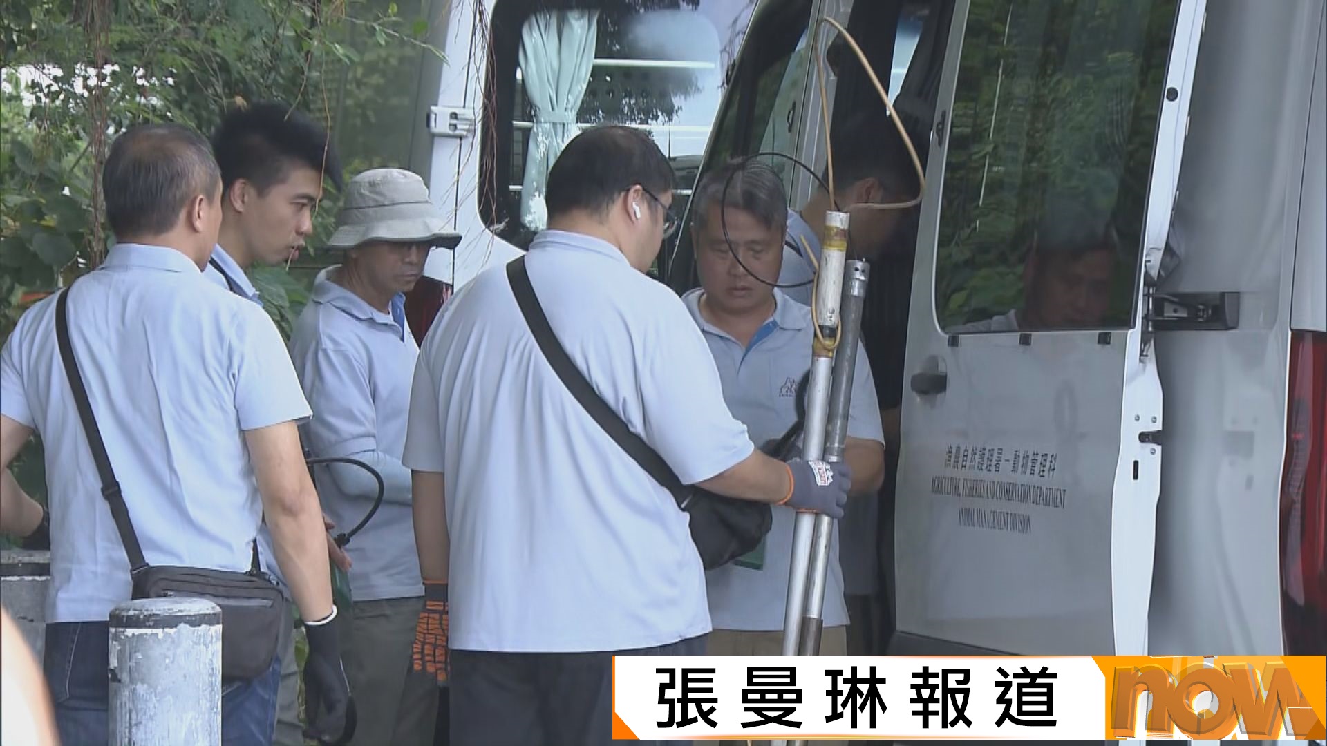 漁護署總結行動五日捉八隻狗　其中三隻有晶片　一名前線人員被狗咬傷手