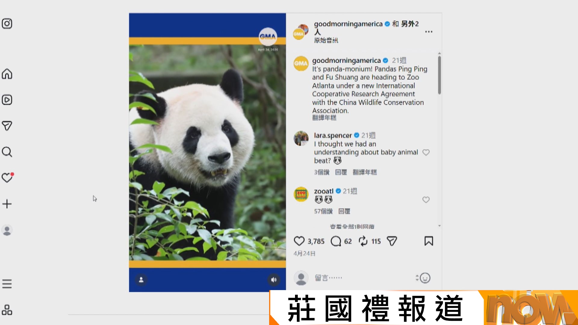 習特會｜大熊貓平平、福雙赴亞特蘭大動物園　園方：急不及待