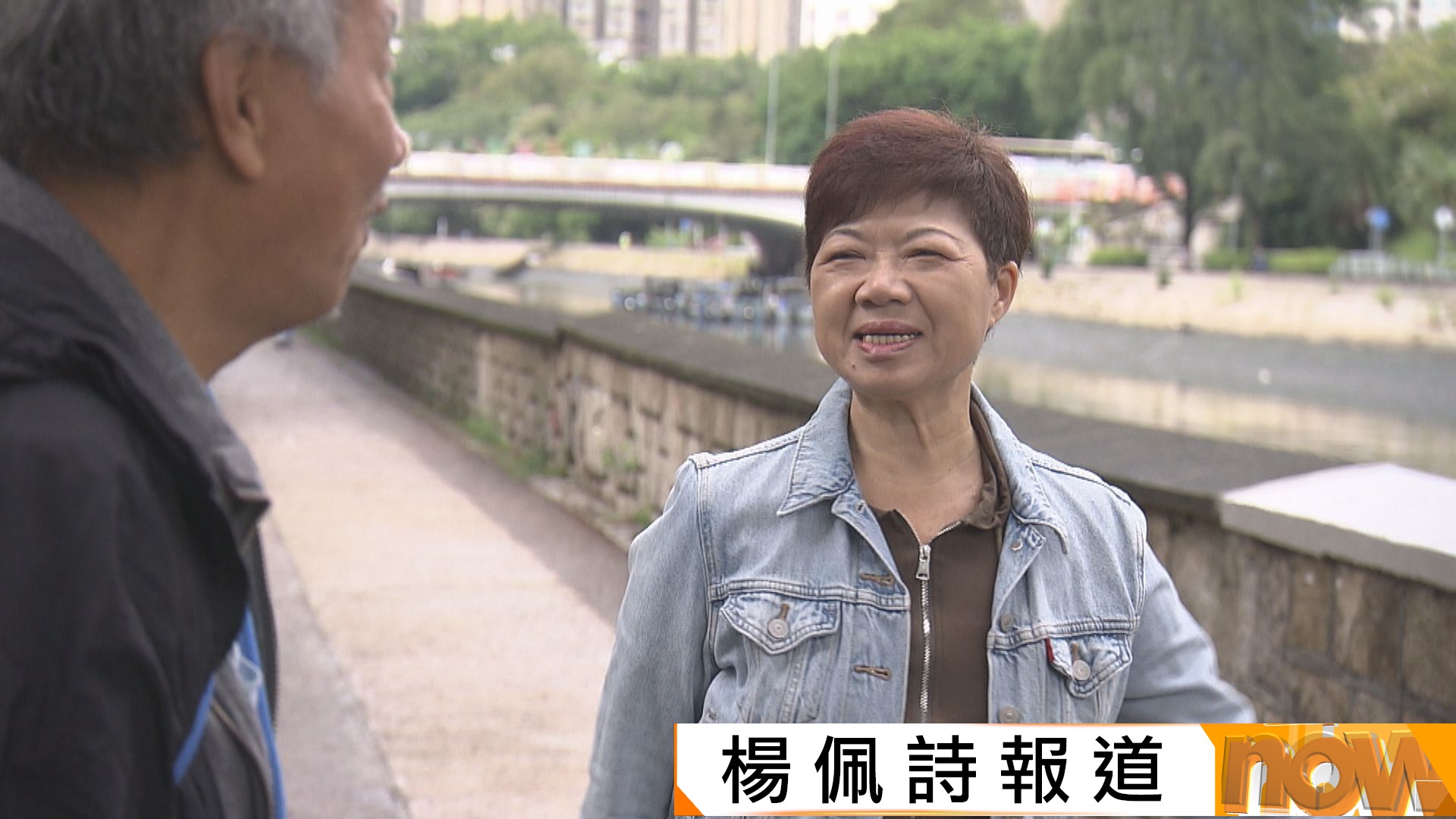 黃碧嬌以健康理由辭任區議員等職務　麥美娟：尊重決定