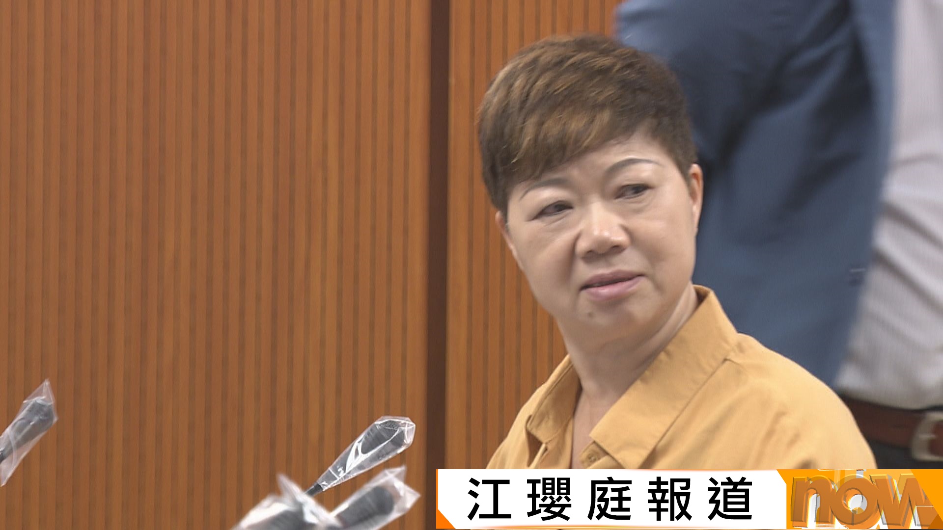 黃碧嬌以健康為由辭任大埔區議員　麥美娟：健康理由屬私隱不會透露