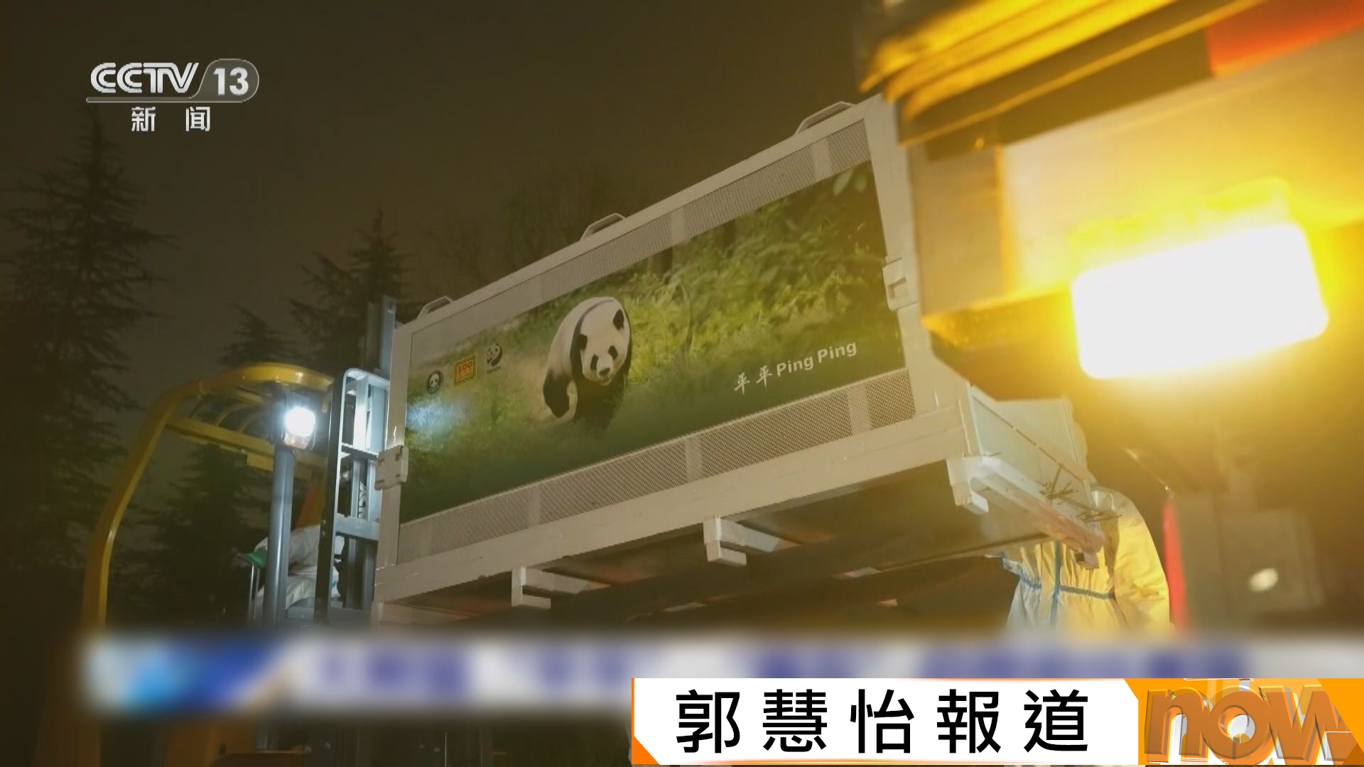 大熊貓「平平」及「福雙」抵達美國　展開十年旅居生活