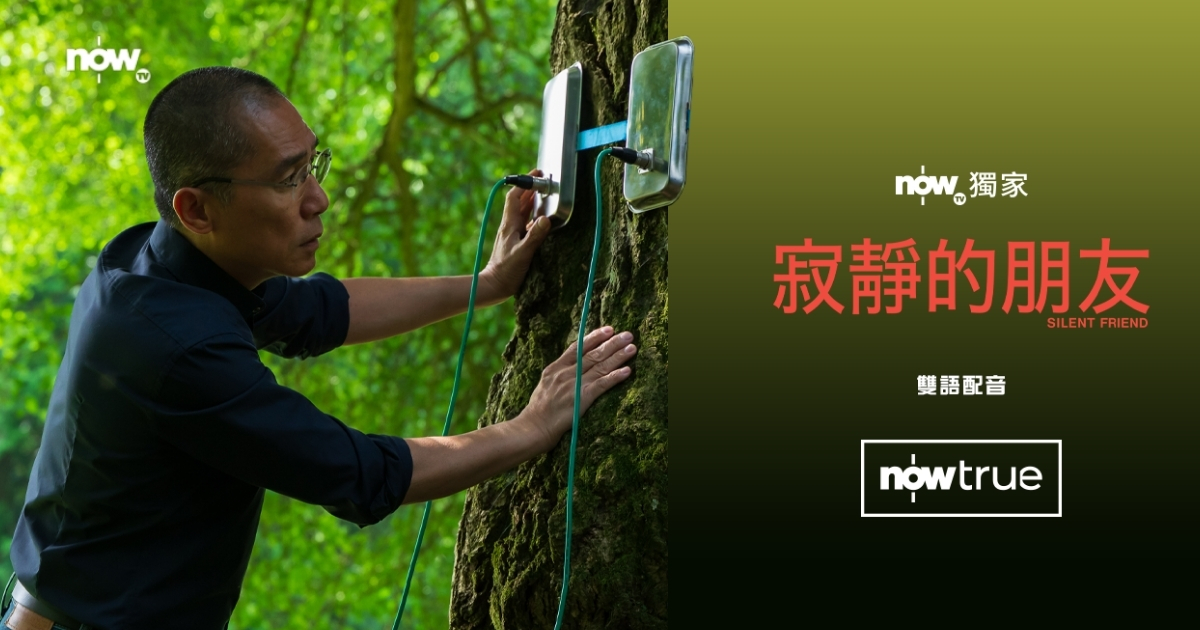【影評及推介】《寂靜的朋友》：梁朝偉攜手匈牙利名導　詮釋人與植物的幽微連結