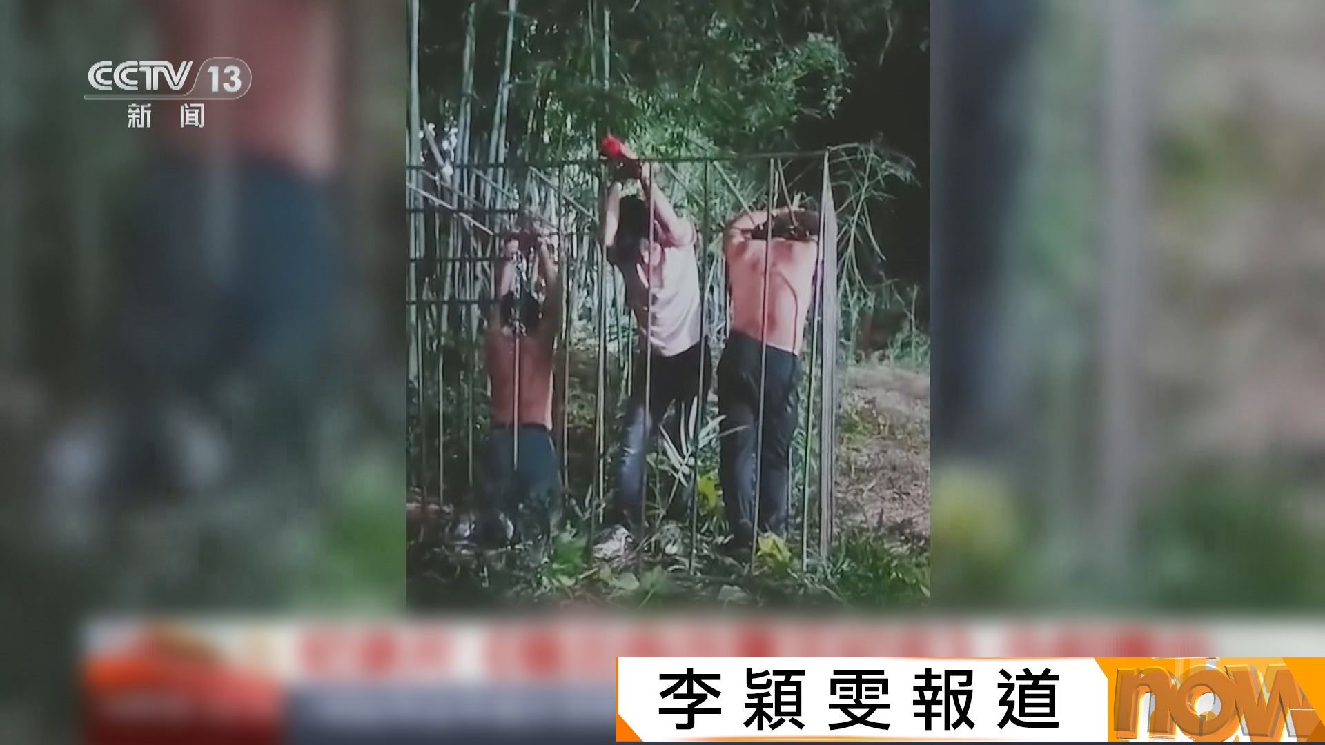 央視與公安製作紀錄片講述打擊緬北電詐過程　有受害者公開被毒打及割腎經歷