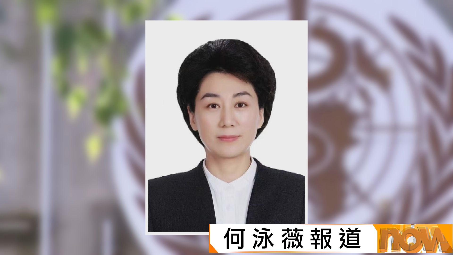 外媒指中方欲提名資深公共衞生官員宋莉競選世衛總幹事