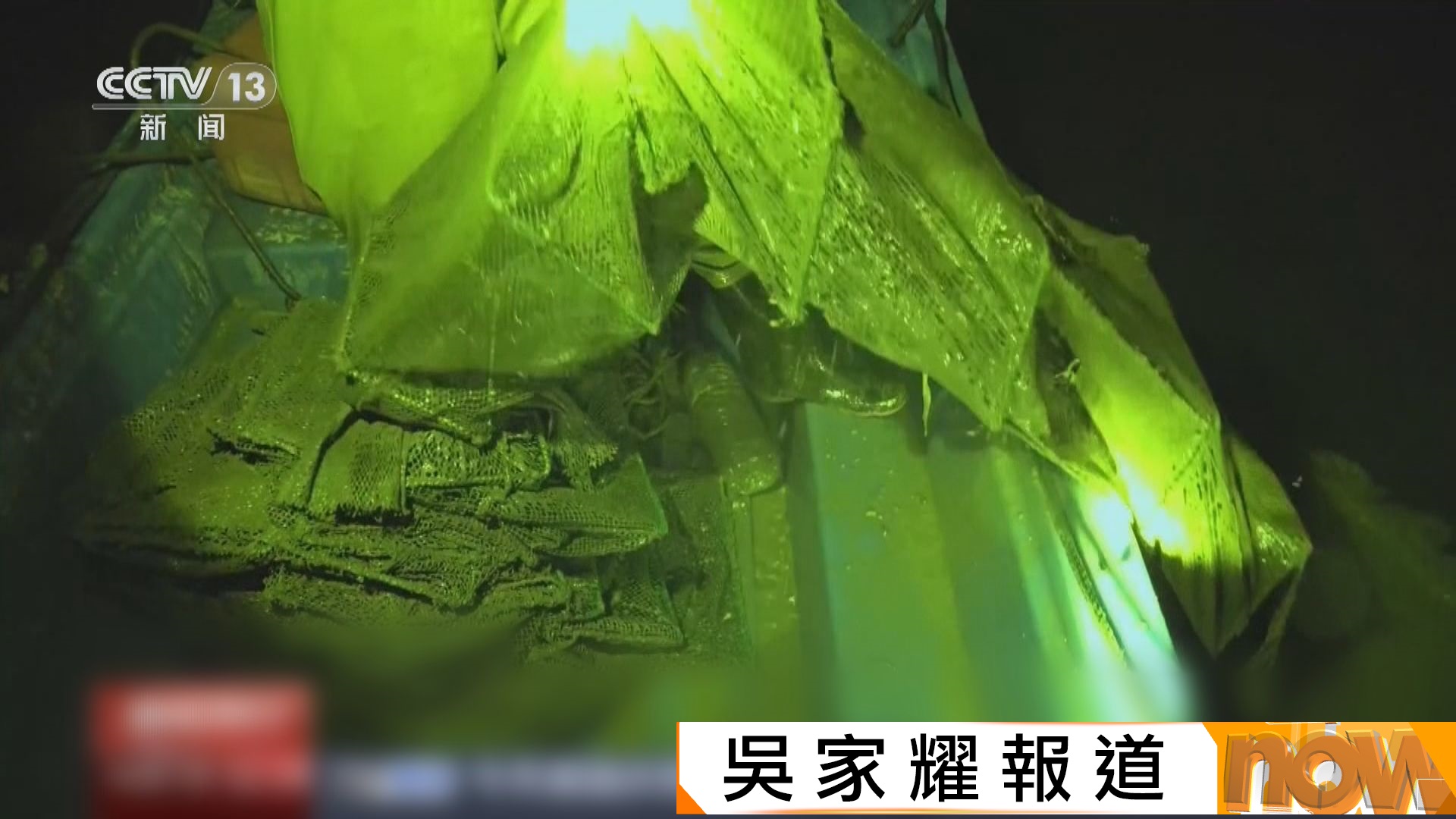 央視揭發海南有商家組團到紅樹林保護區非法捕撈