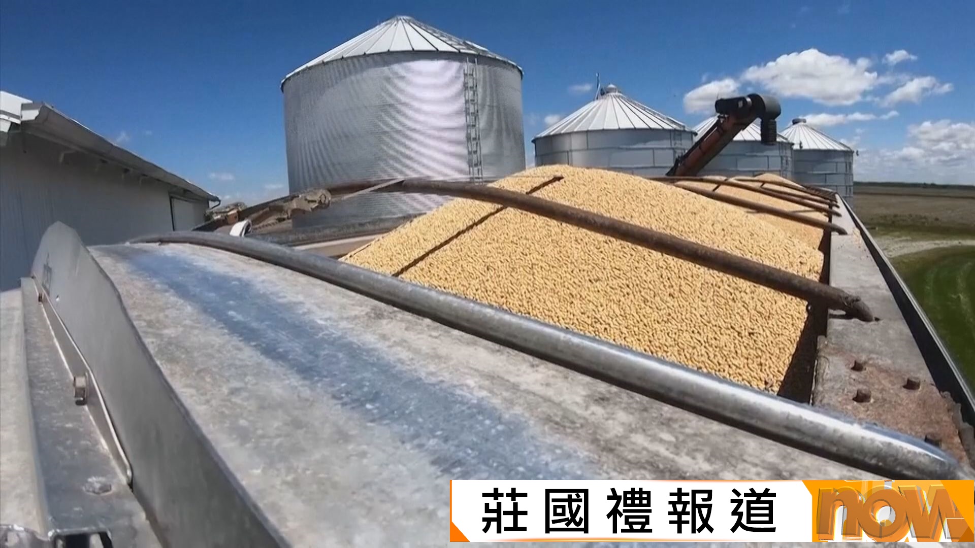 據報中國採購美國大豆　中美元首會晤後首次