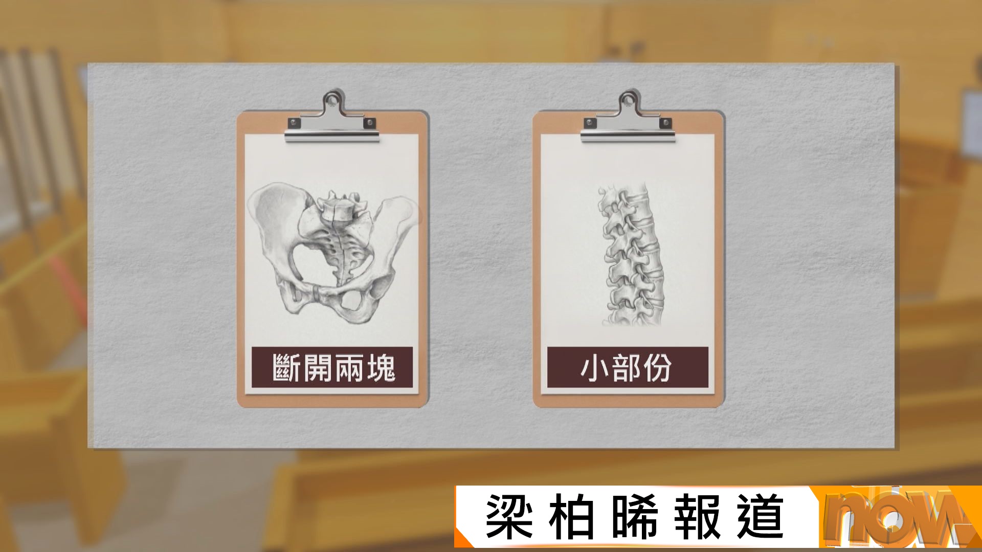 蔡天鳳碎屍案｜政府化驗師作供：蔡天鳳盤骨被分兩截　電鋸鋸痕與脊骨傷脗合