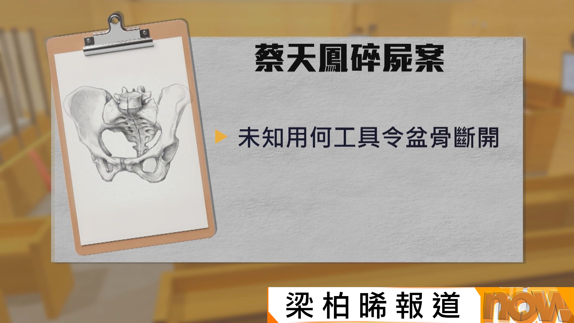 蔡天鳳碎屍案｜化驗師未知何種工具造成蔡天鳳盆骨斷開