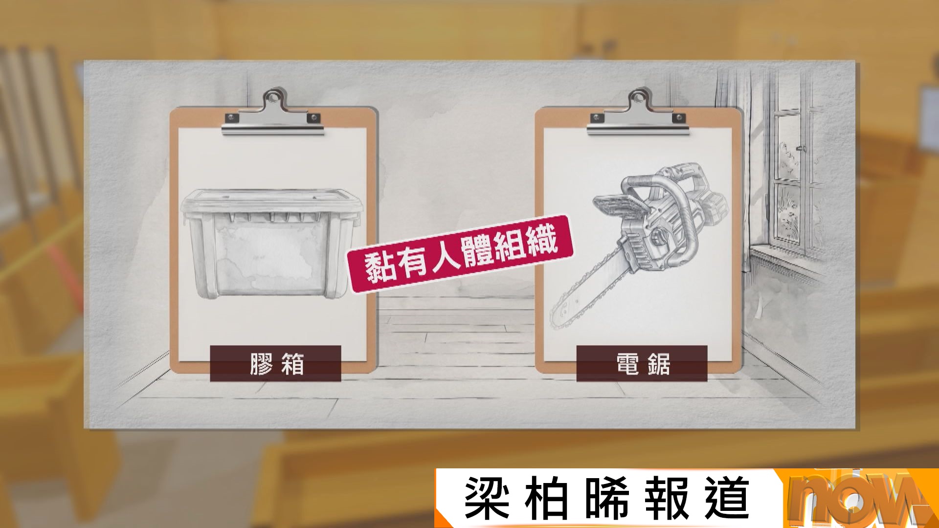 蔡天鳳碎屍案｜偵緝警員指在龍尾村單位發現多處有人體組織