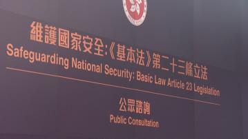 23條將以一條全新維護國家安全條例訂立