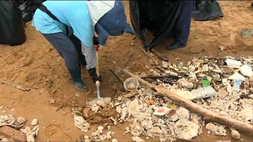 棕櫚硬脂污染　料需時一至兩周清理