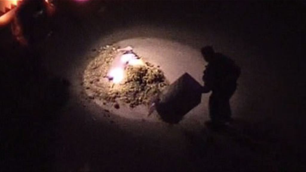 美國男子寄馬糞郵包給財長