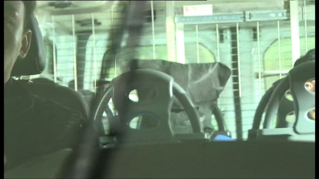 女童疑被虐死　控方指父曾多次將其向上拋致頭撞天花板