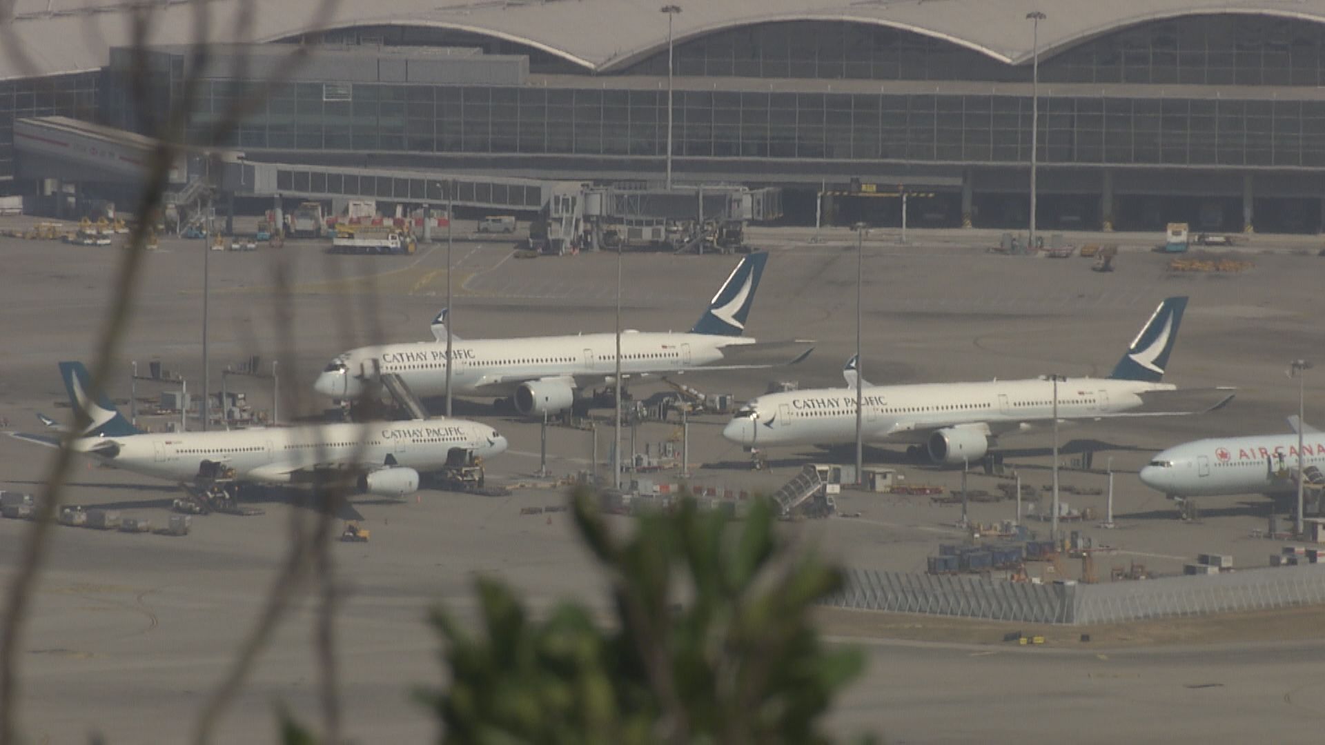 【旅遊意慾改善】國泰料客運量年底回復至疫前25%