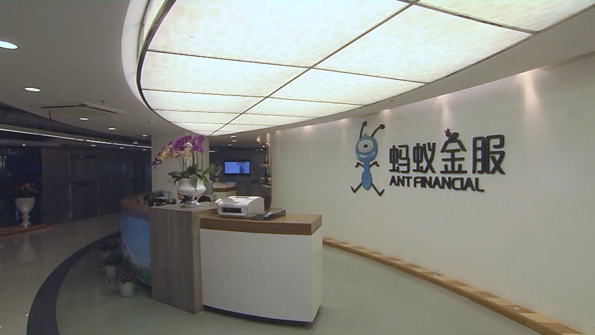 五隻螞蟻A股配售基金 一小時認購額逾百億