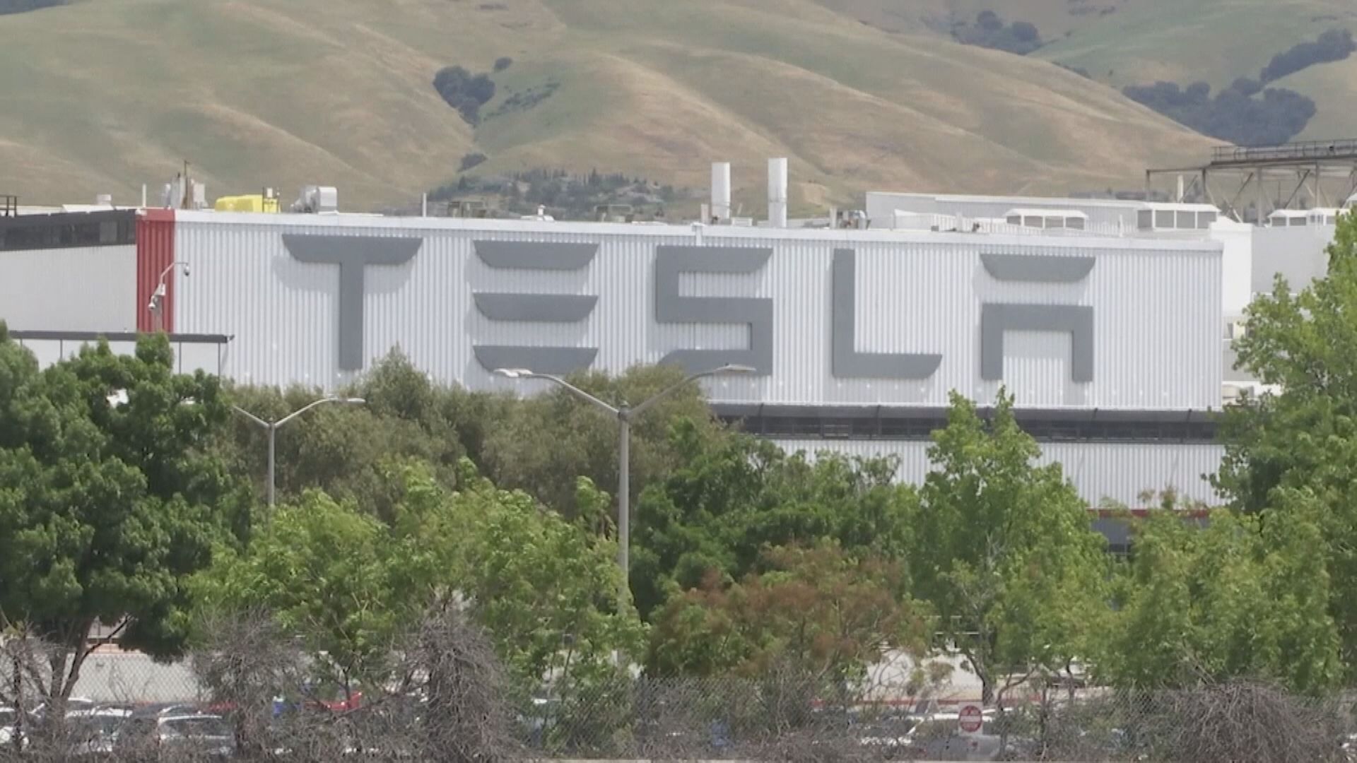 Tesla令Bitcoin「火上加油」 顛價或未見