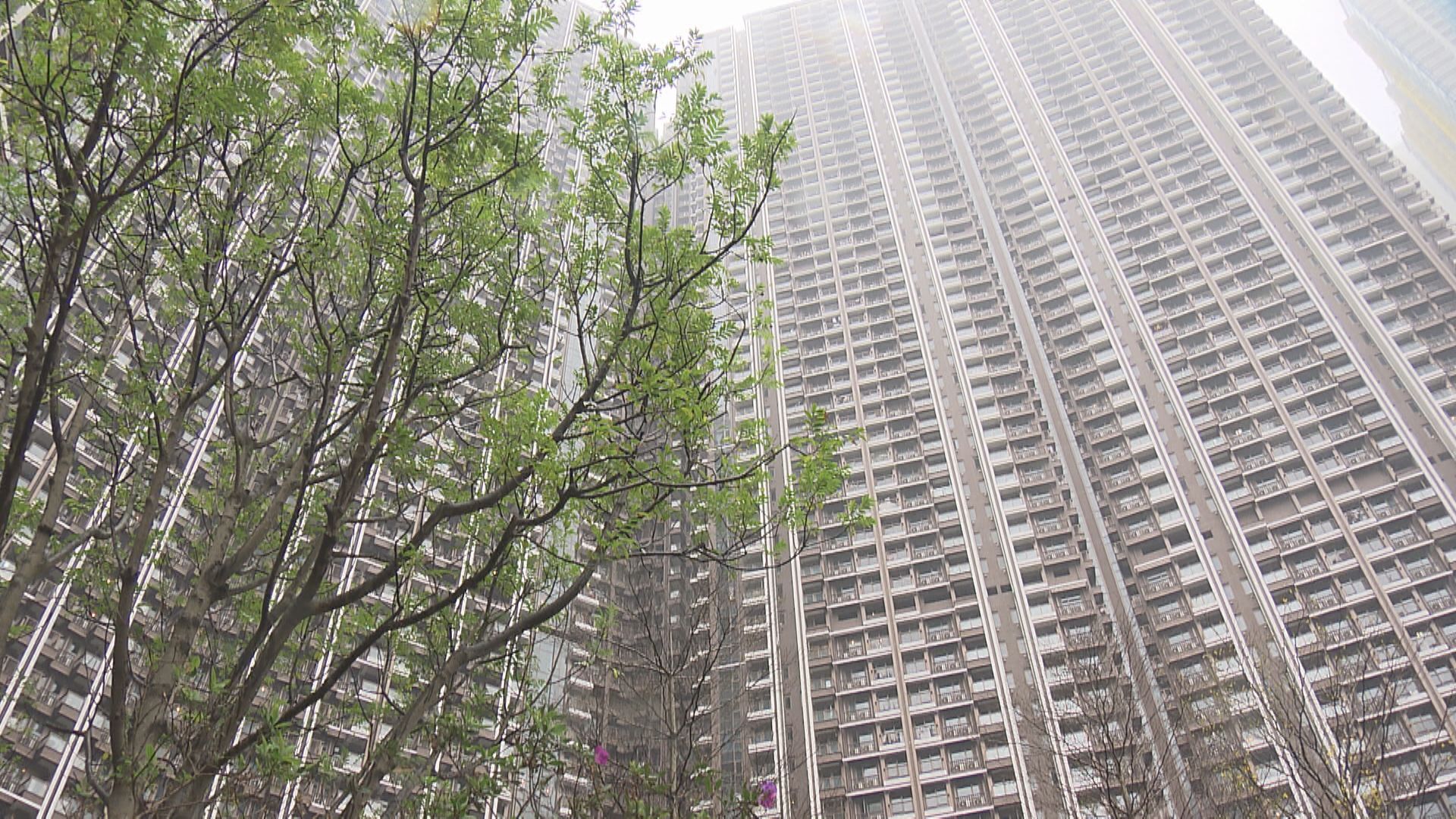 【預算案前瞻】樓市政策料傾向保守  冀完善限建納米樓措施