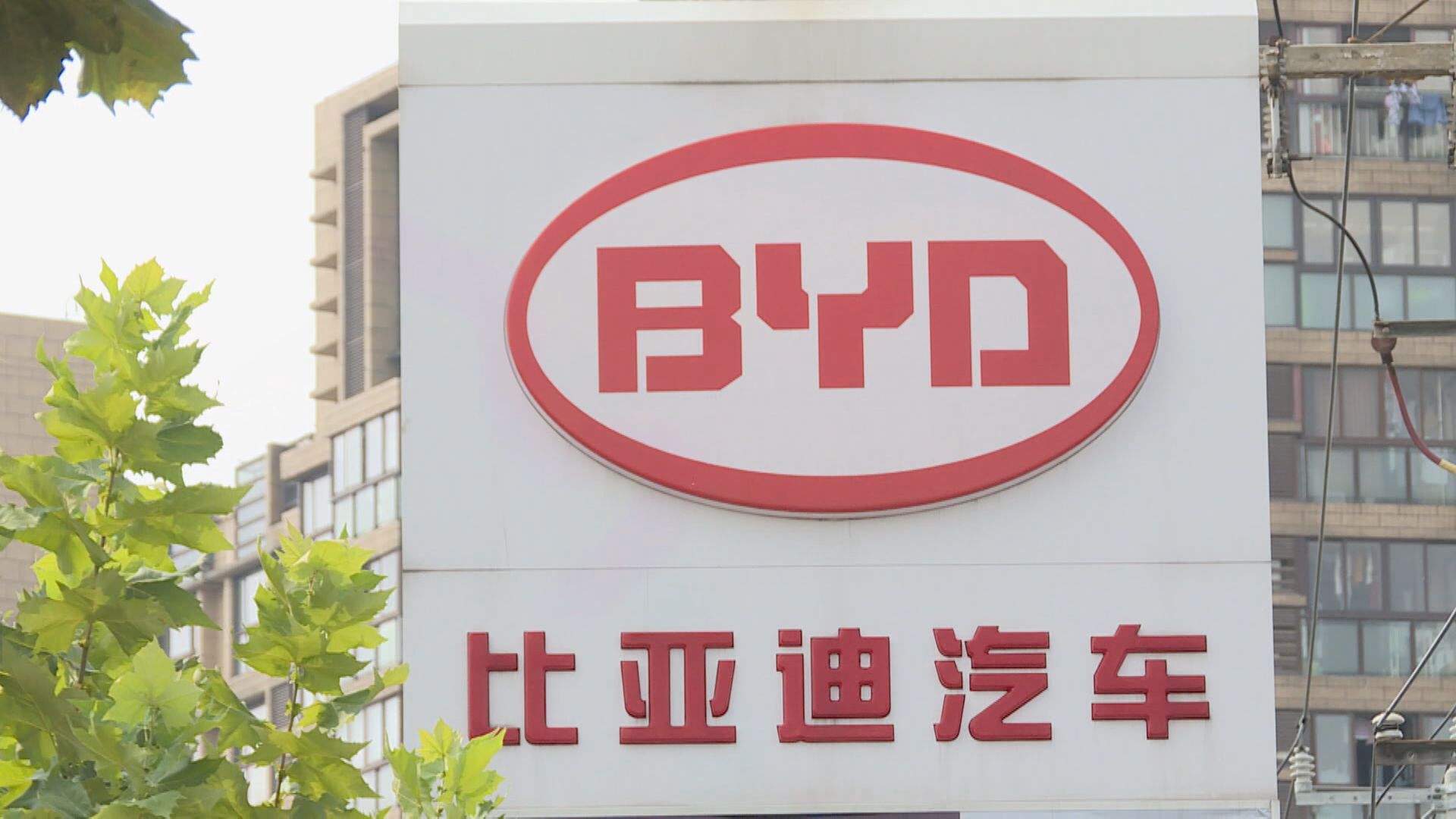 折讓抽水！比亞迪股價「跪一跪」又買返上去