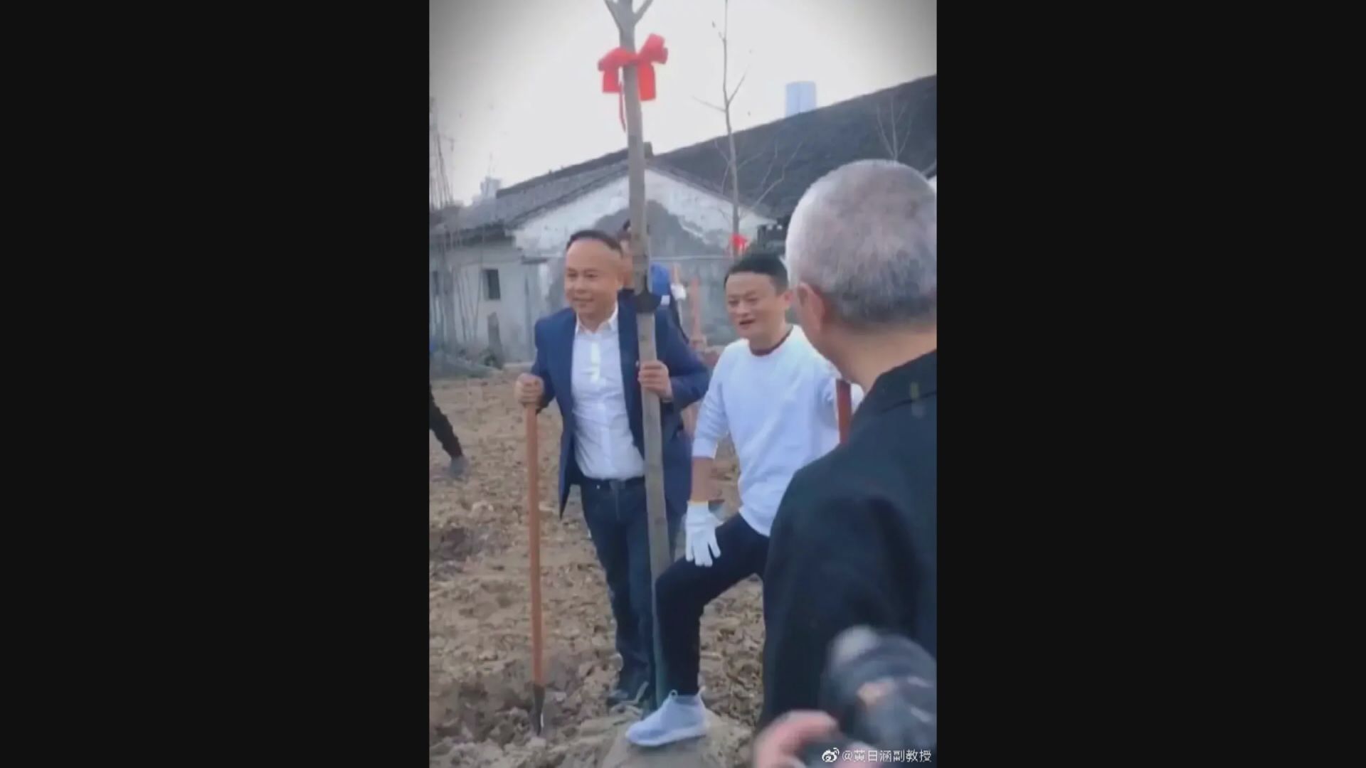 【虛驚一場】阿里曾閃跌！馬雲「5‧1」種樹相流出釋疑