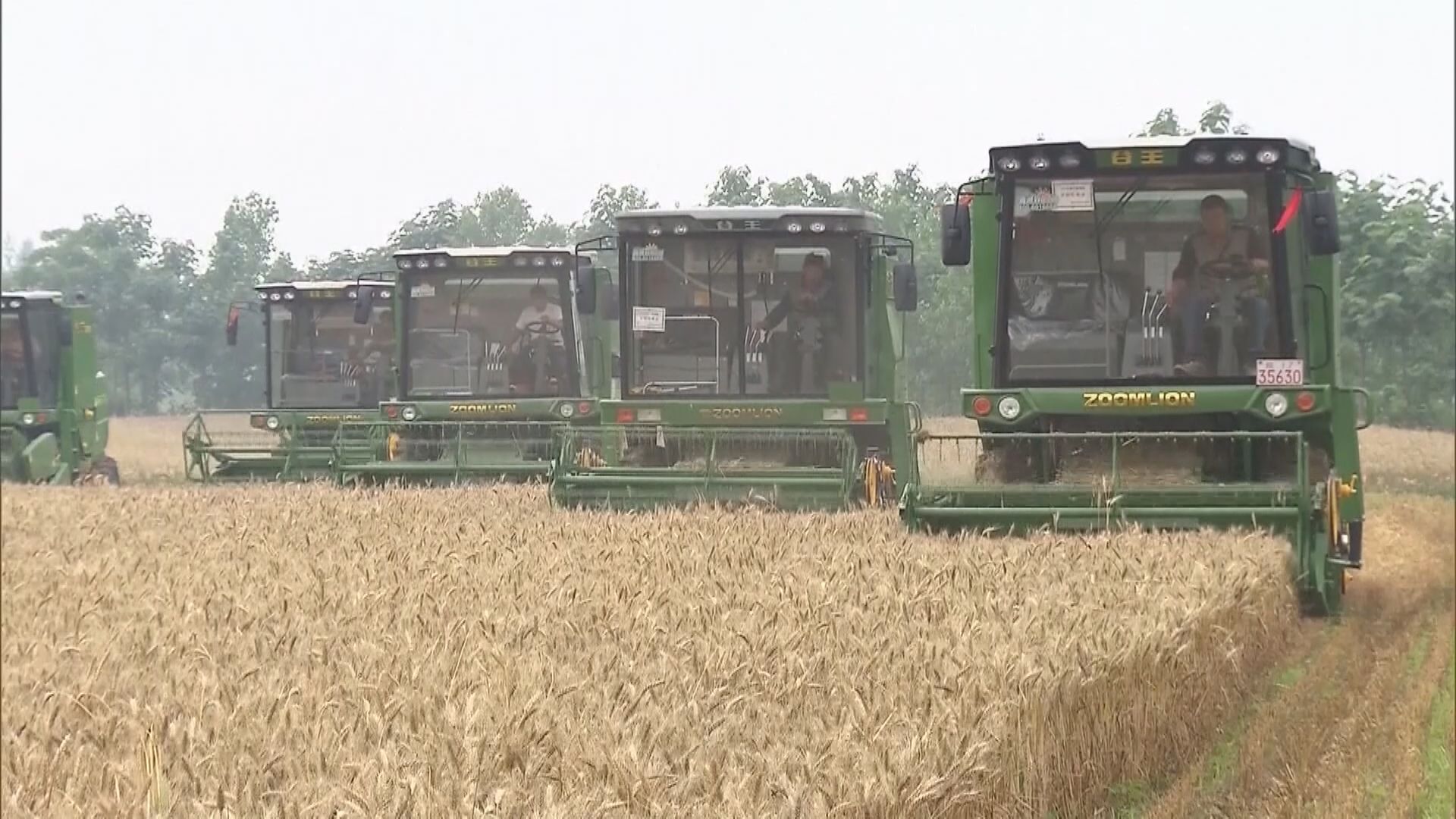 中央出手穩化肥市場秩序及價格