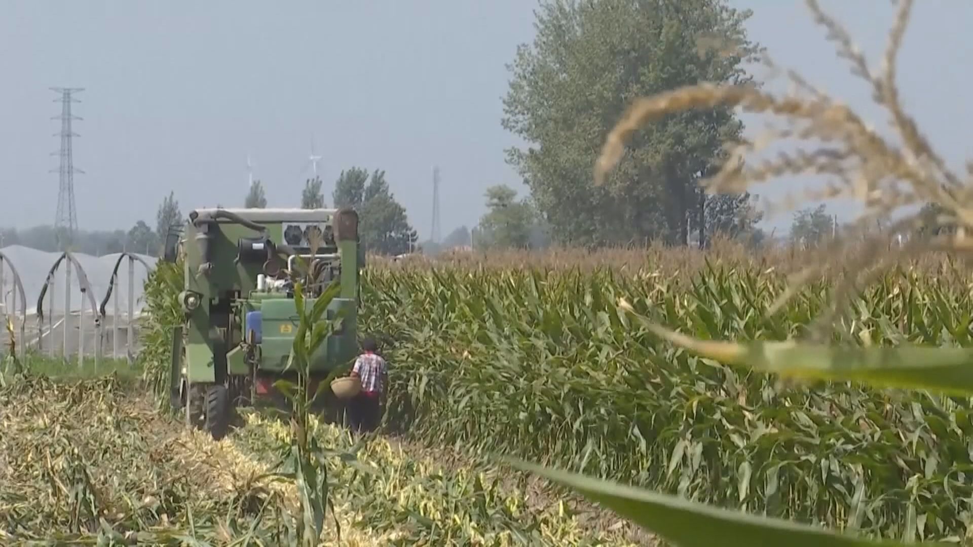 發改委:做好穩定化肥價格工作