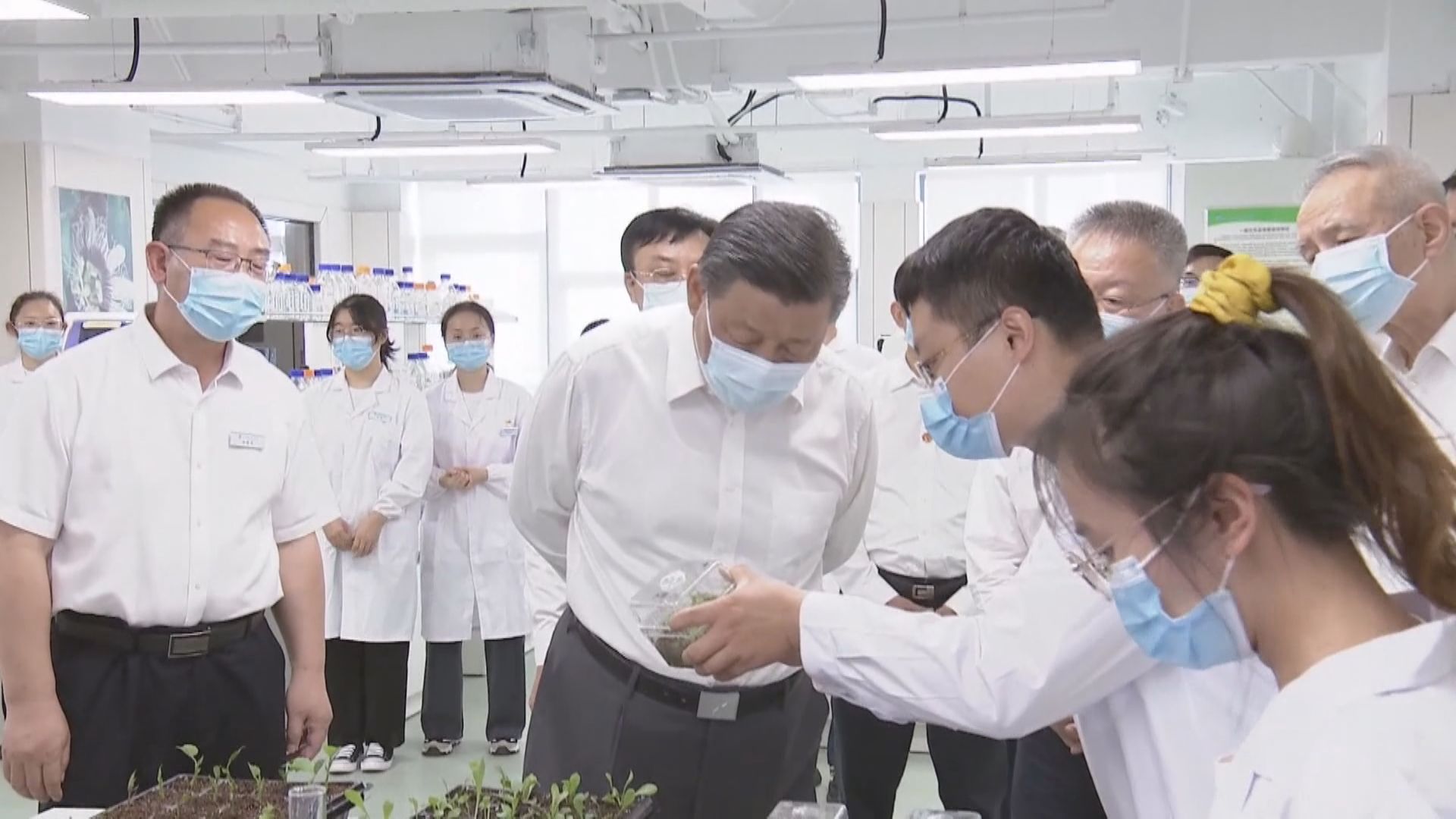 【海南三亞考察】習近平強調種子是糧食安全關鍵