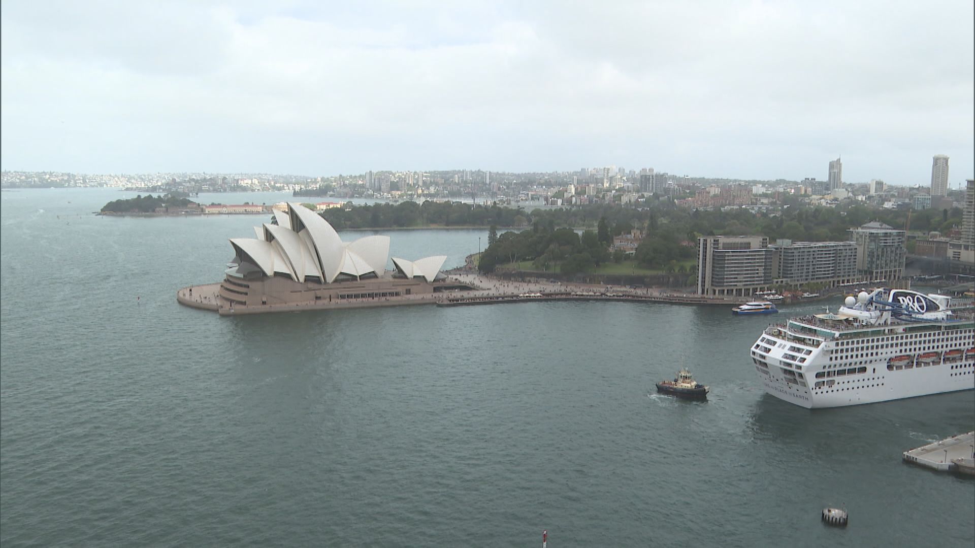 中國對澳洲四個屠場實施進口禁令