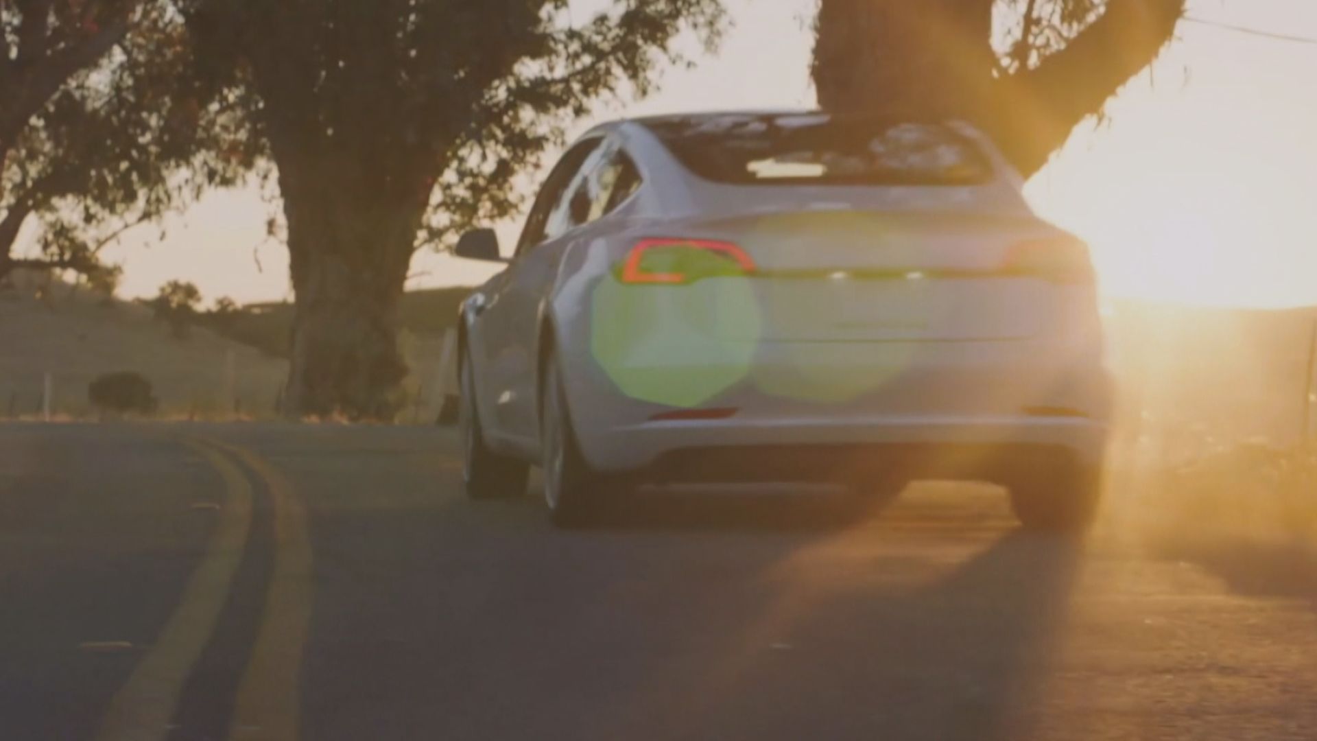 【Baby Tesla】傳Model Y推平價版 規劃年產量400萬部